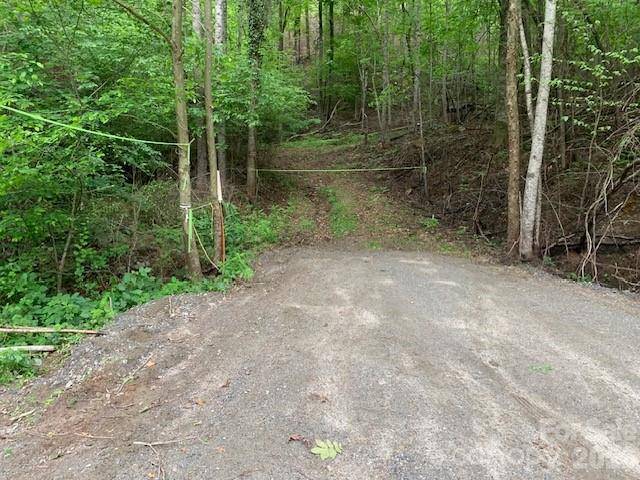 42.16 ACS GREEN RIVER COVE RD #42.162 AC., Saluda, NC 28773