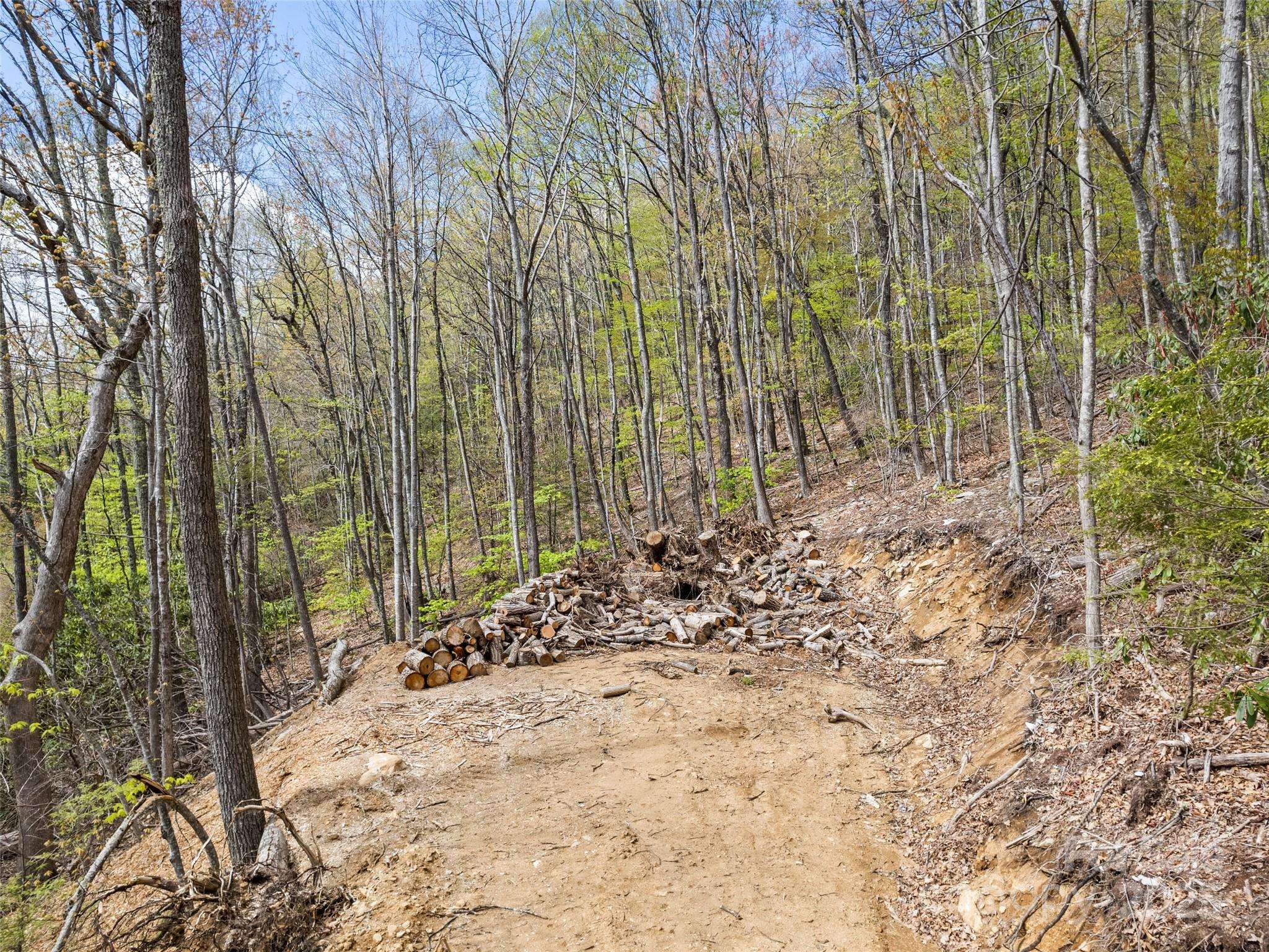 Lot G-44 Odalu TRL #G-44, Maggie Valley, NC 28751