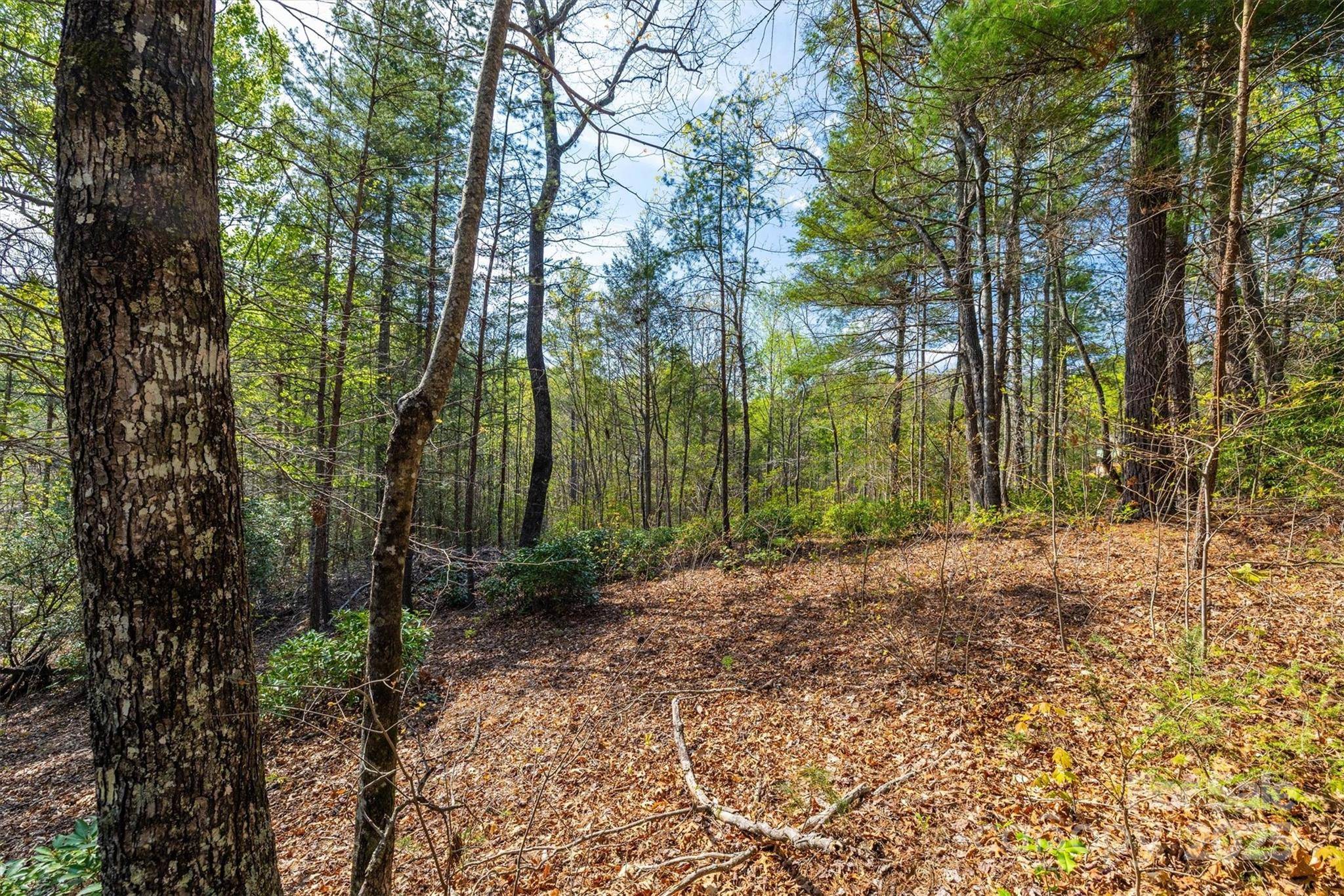 18 Walnut Ridge WAY #2.65 Acres, Lenoir, NC 28645