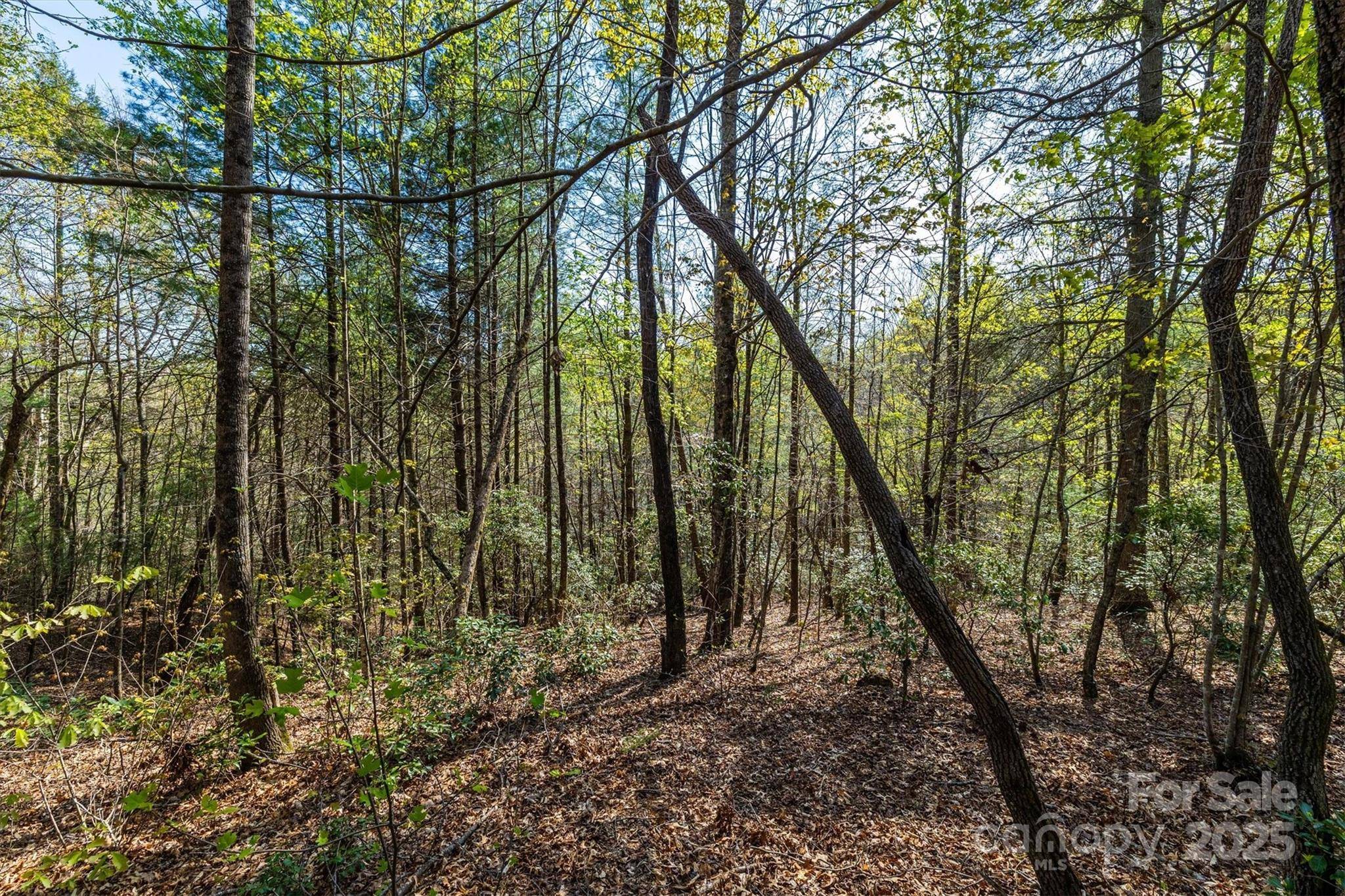 18 Walnut Ridge WAY #2.65 Acres, Lenoir, NC 28645
