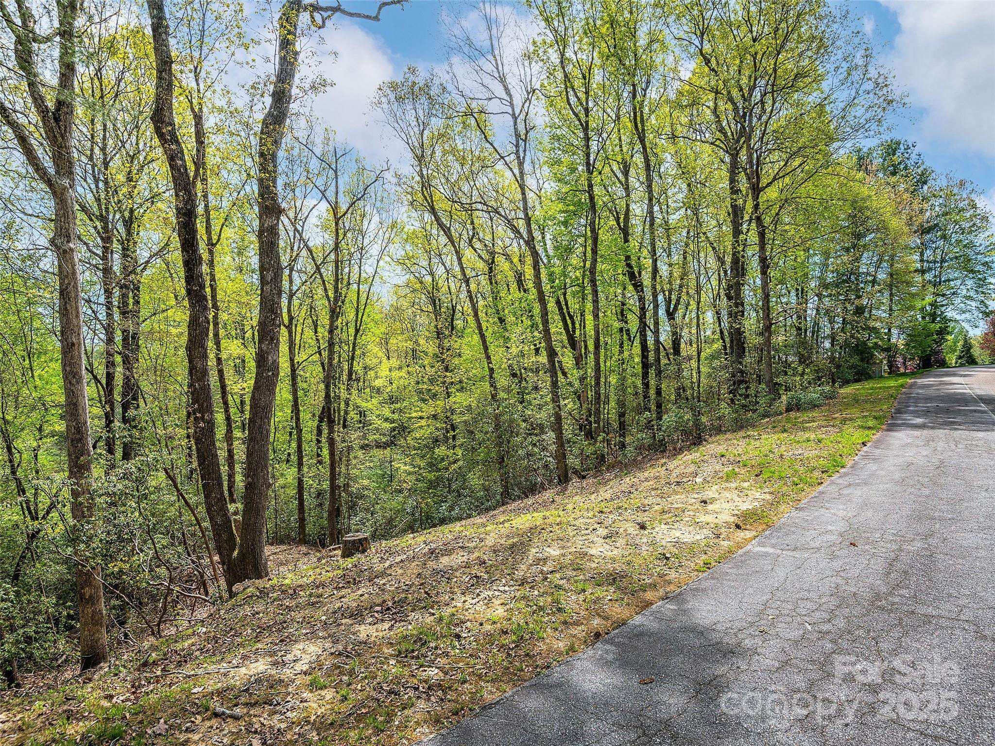 Lot #53 Winterberry DR, Hendersonville, NC 28739