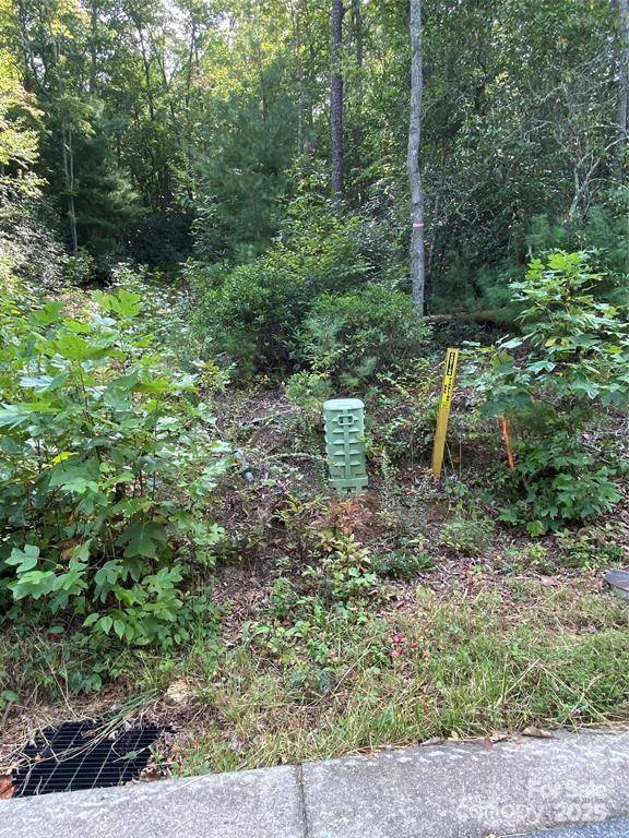 47 Crossings CIR #18, Fairview, NC 28730