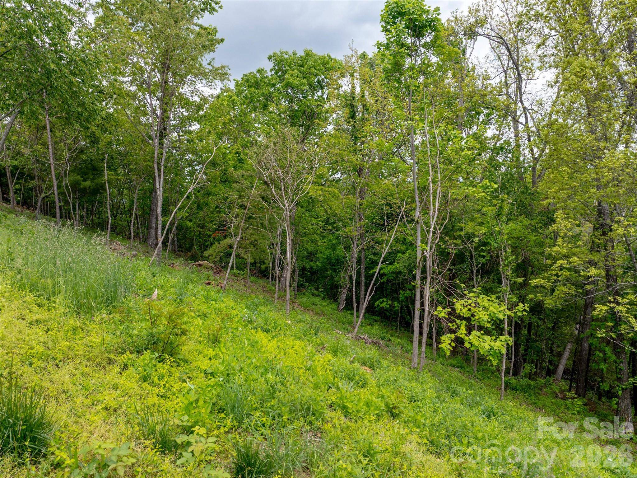 124 Summit Tower CIR, Asheville, NC 28804