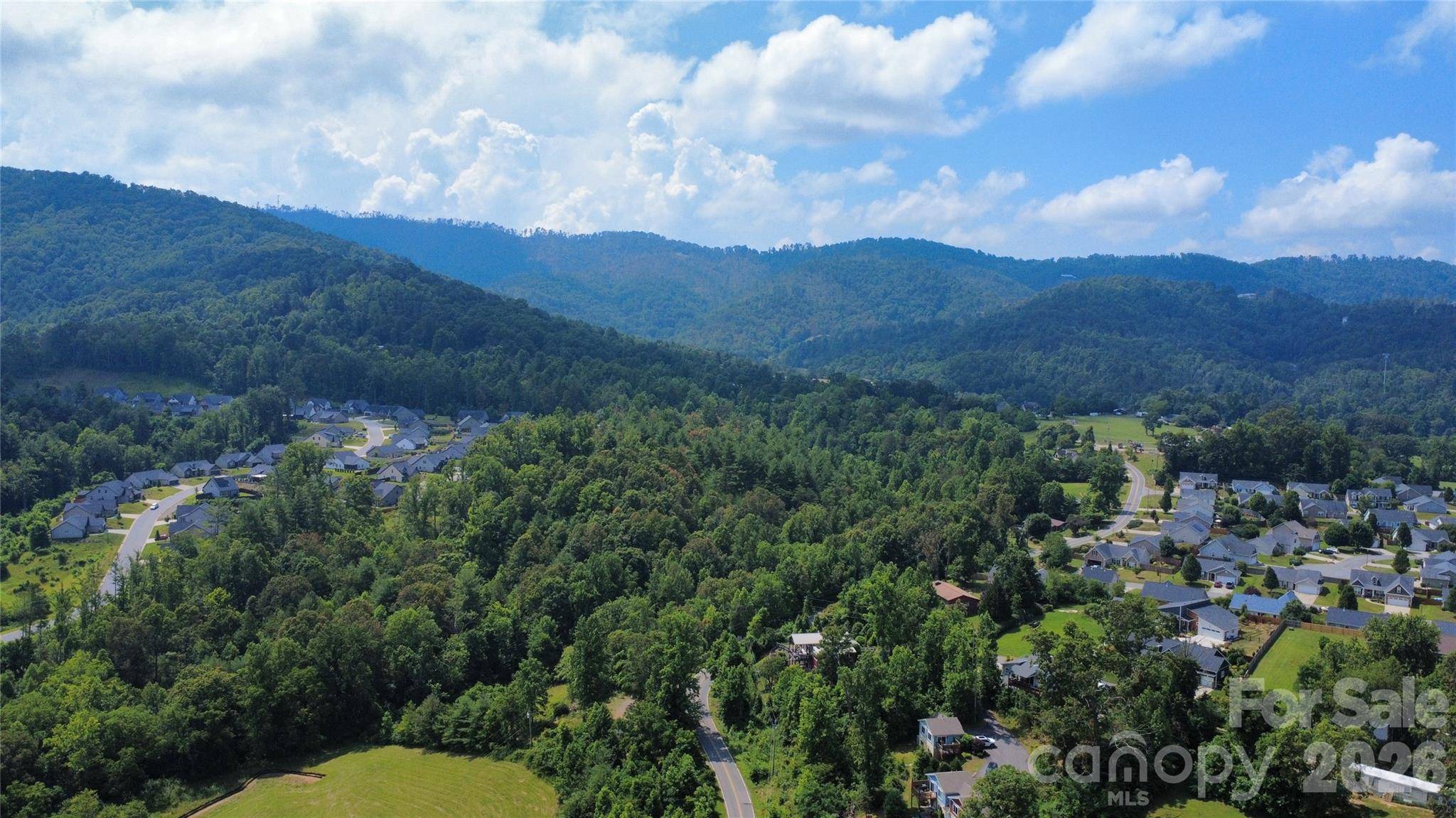 823 Adelston LN, Asheville, NC 28804