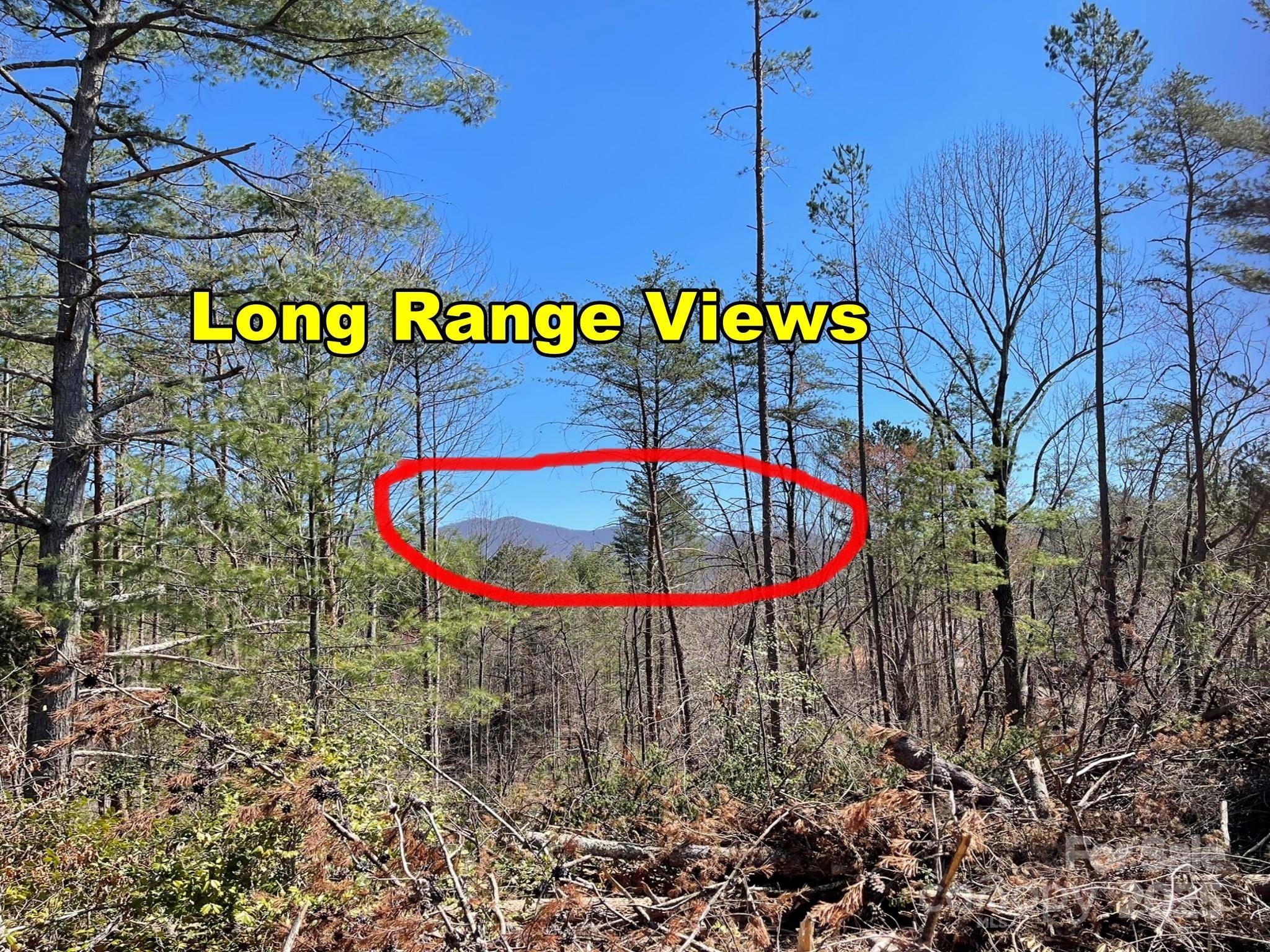 83 Union Chapel RD, Weaverville, NC 28787