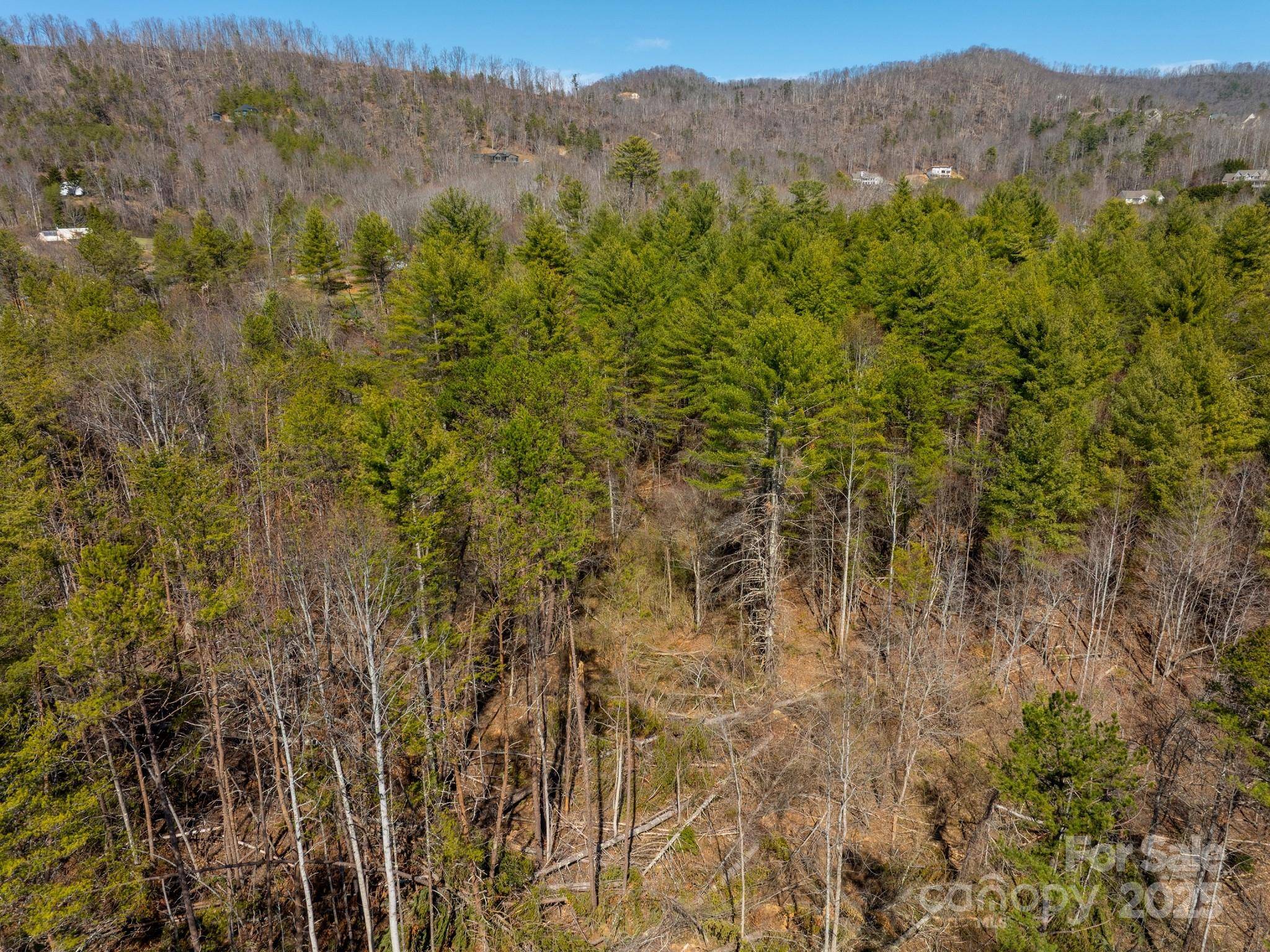 83 Union Chapel RD, Weaverville, NC 28787