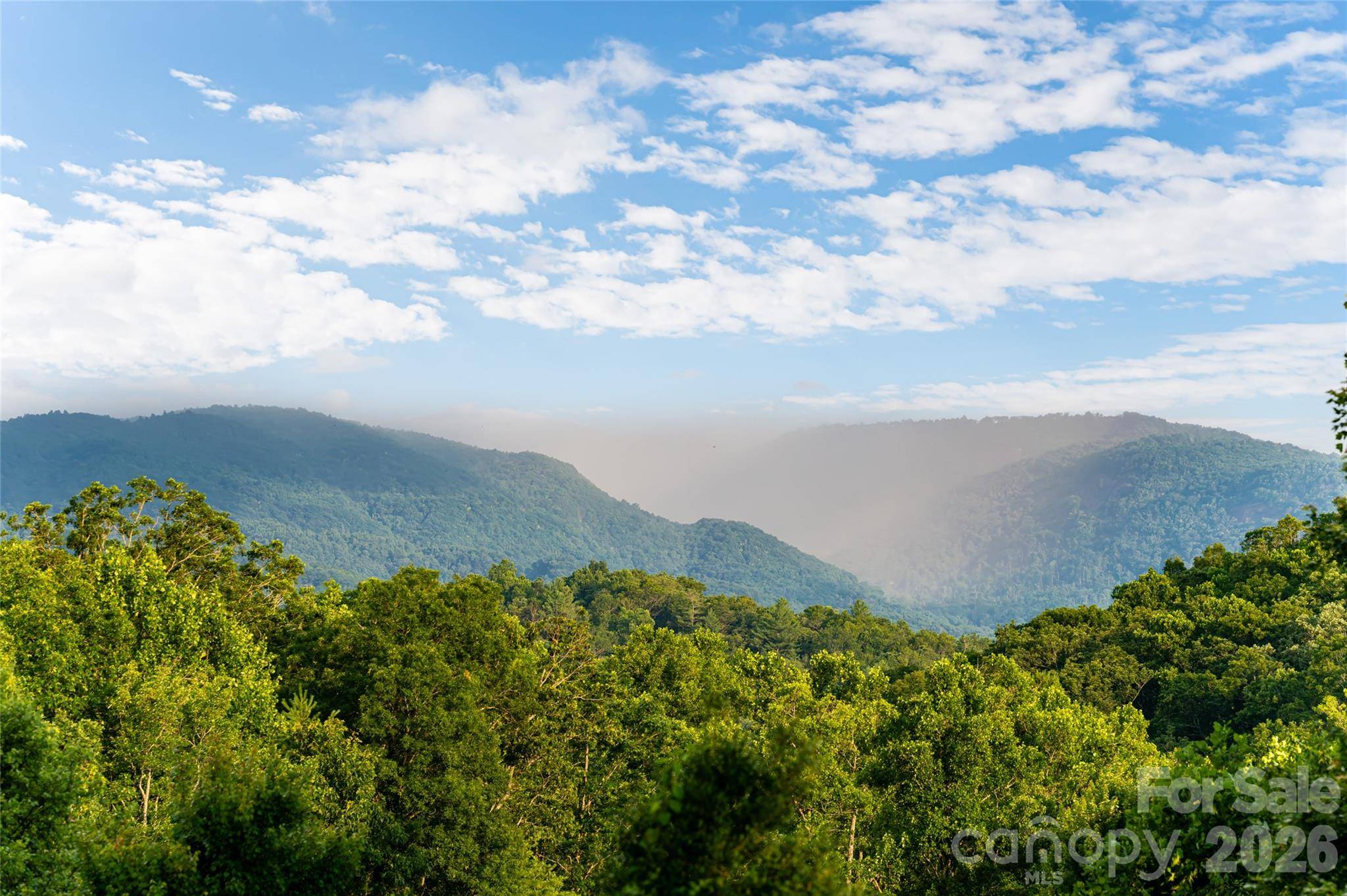 20 East Owl Creek LN, Fairview, NC 28730
