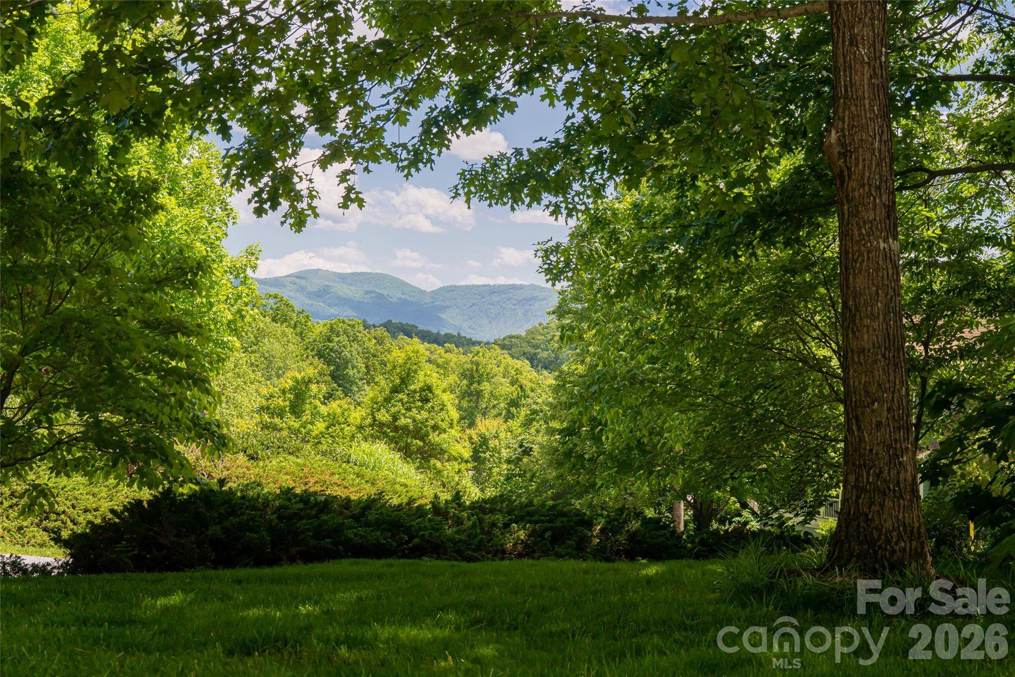 20 East Owl Creek LN, Fairview, NC 28730