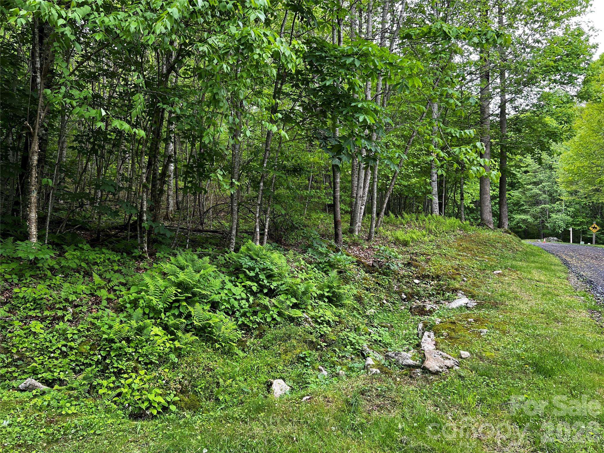 1 Pearl WAY, Mars Hill, NC 28754