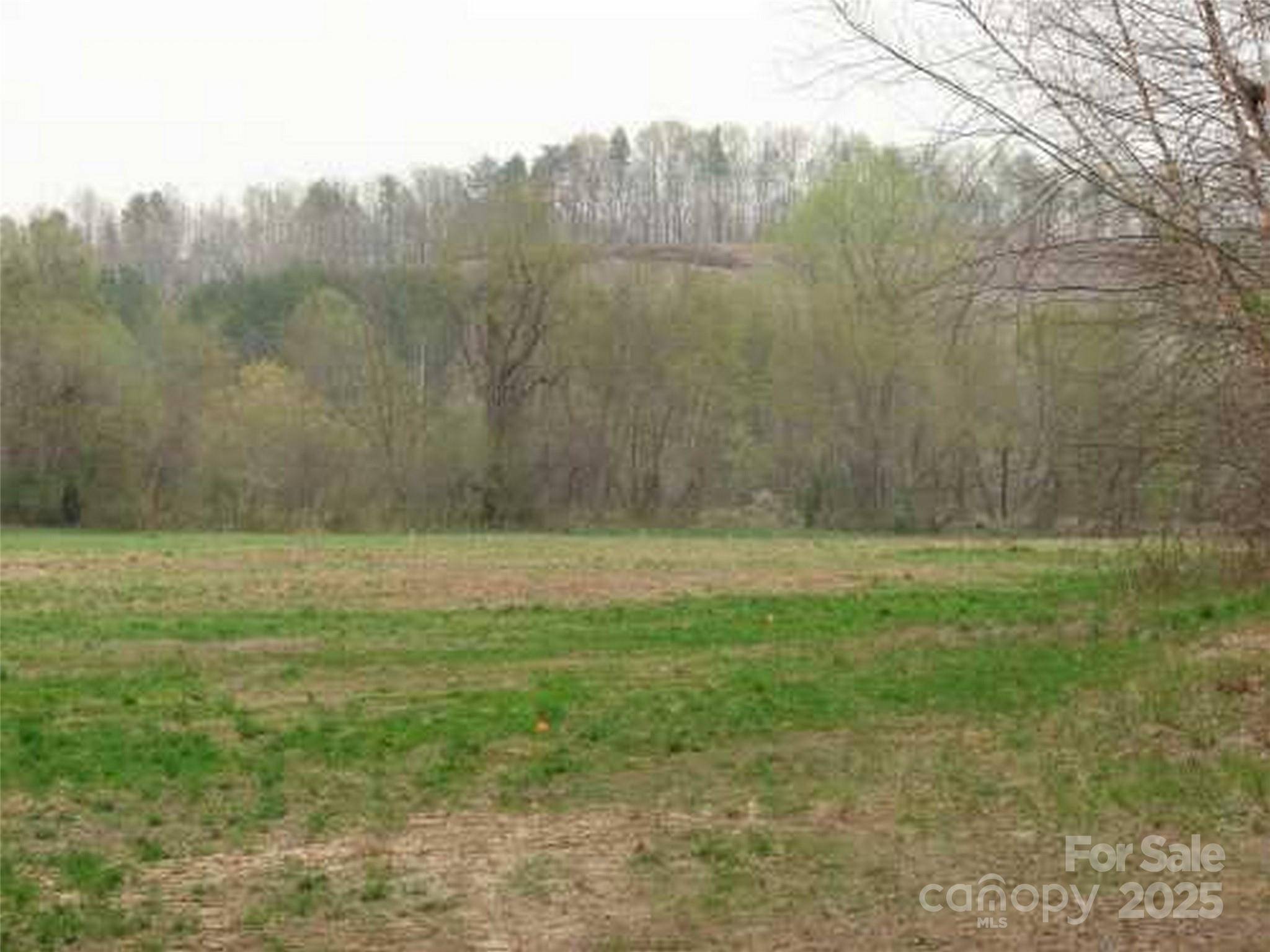 0 S Cross Creek TRL #12, Mill Spring, NC 28756