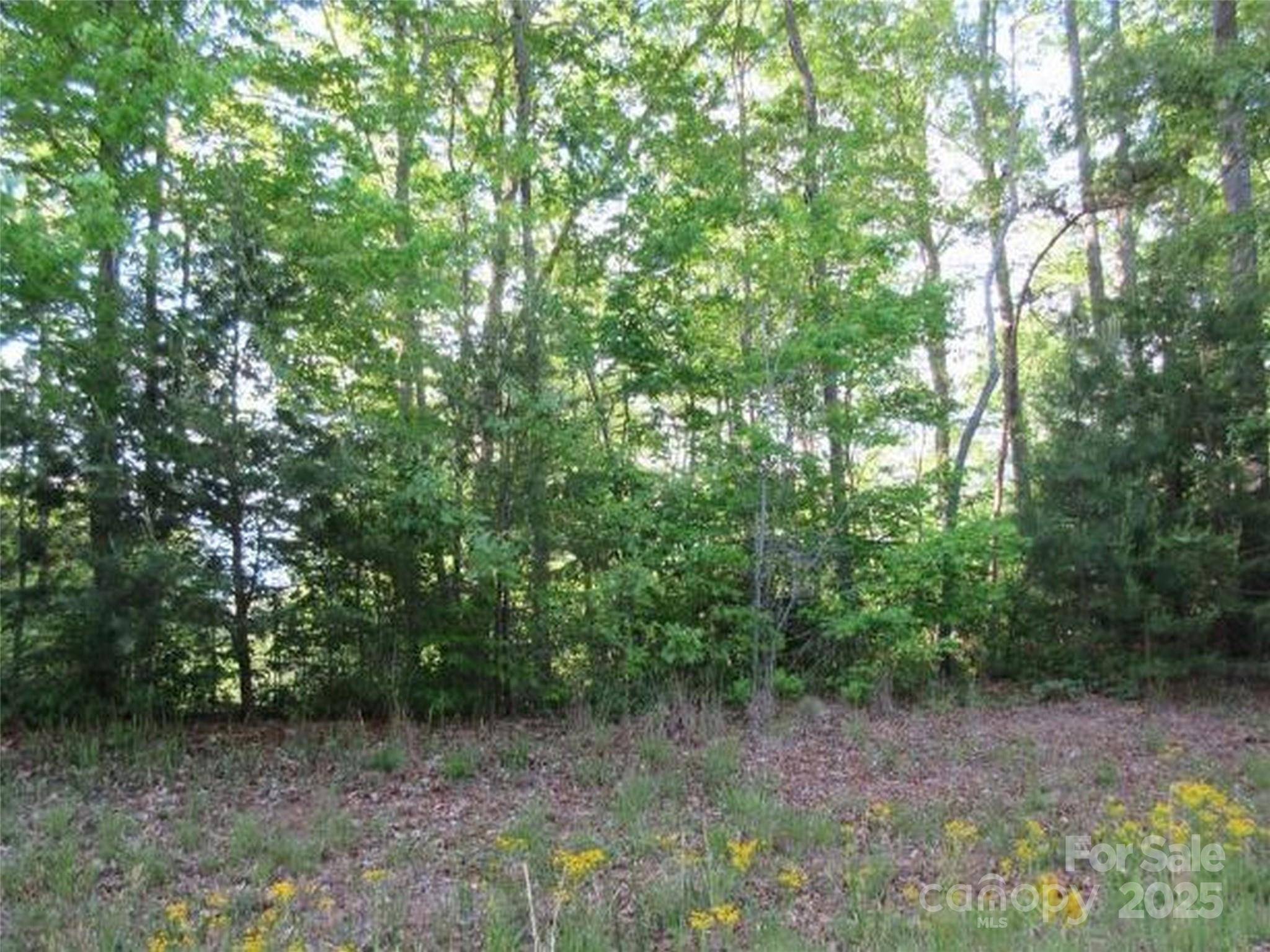 0 S Cross Creek TRL #12, Mill Spring, NC 28756