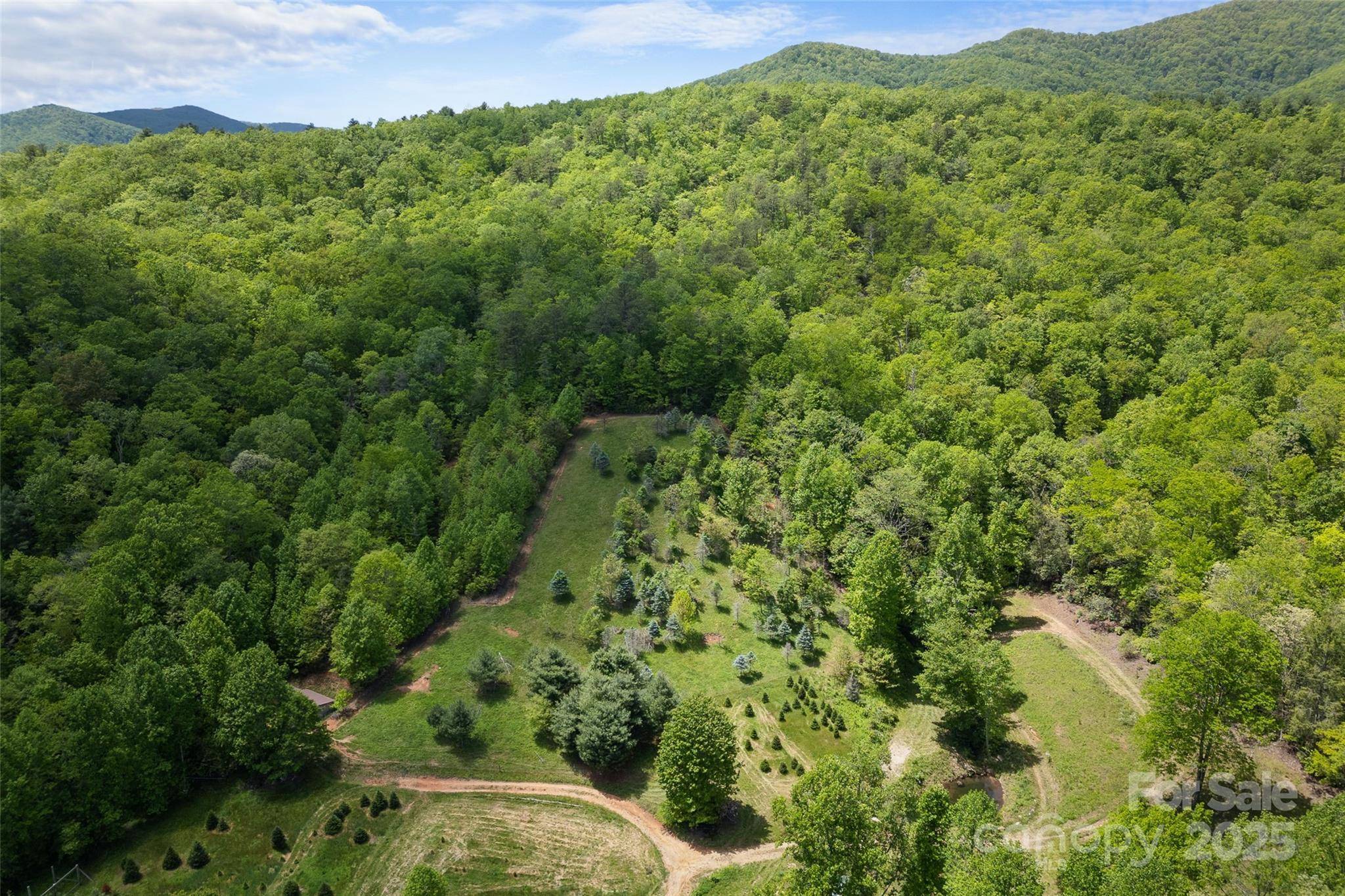 1557 Shoal Creek RD, Balsam Grove, NC 28708