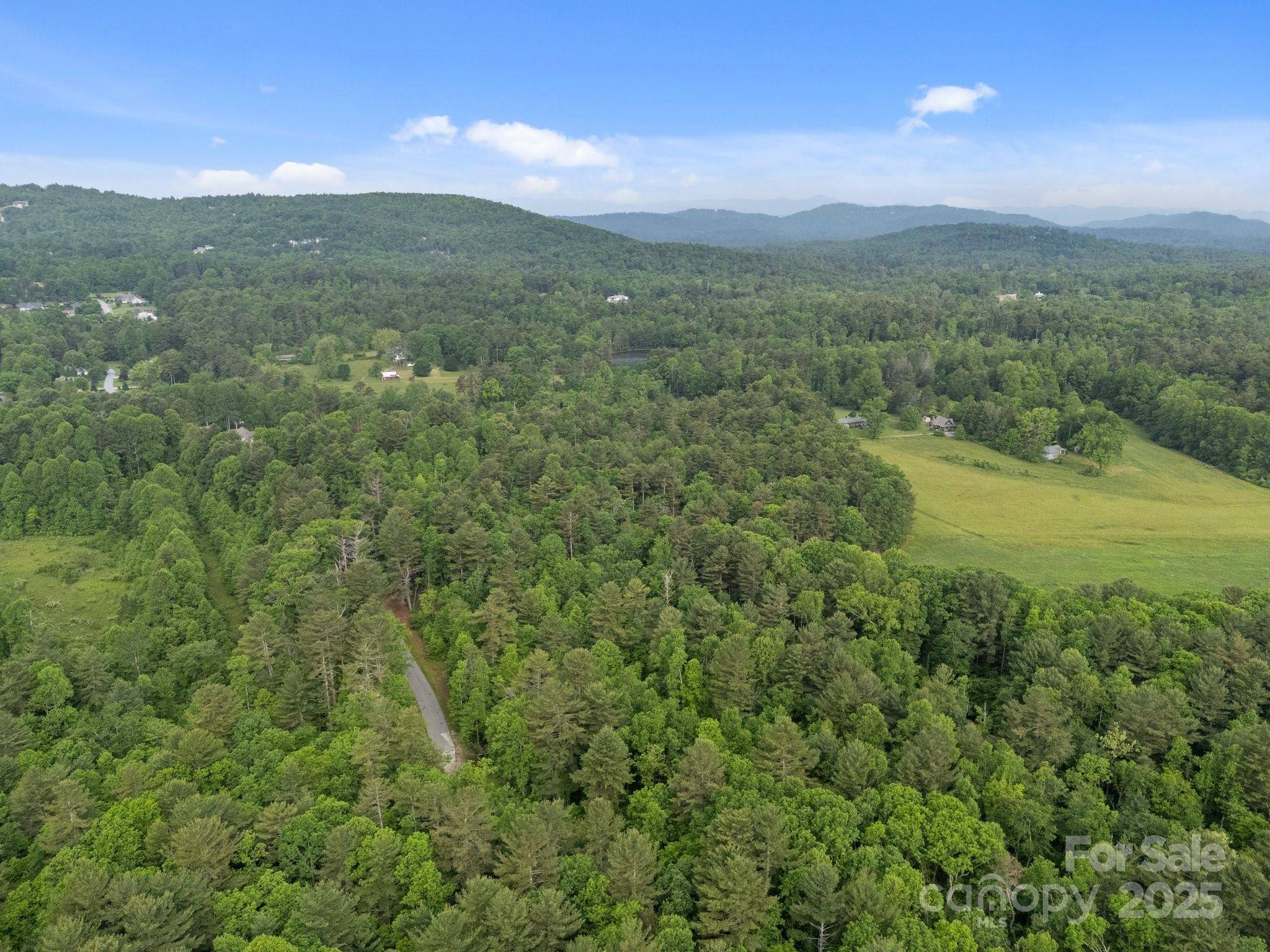 000 Red Fox LN #18, Flat Rock, NC 28731