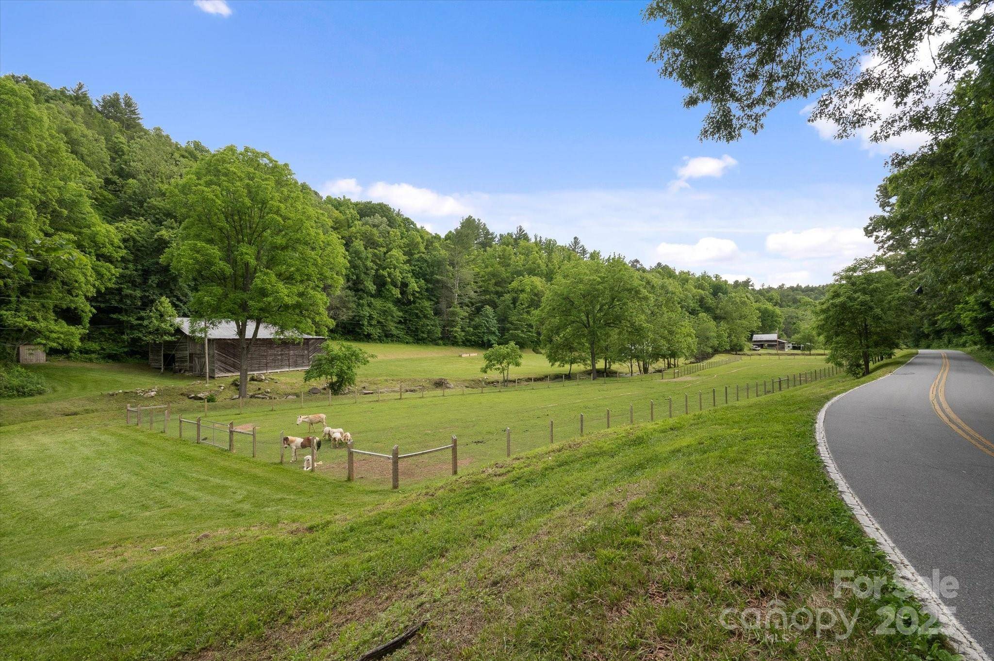 942 Paint Fork RD, Mars Hill, NC 28754