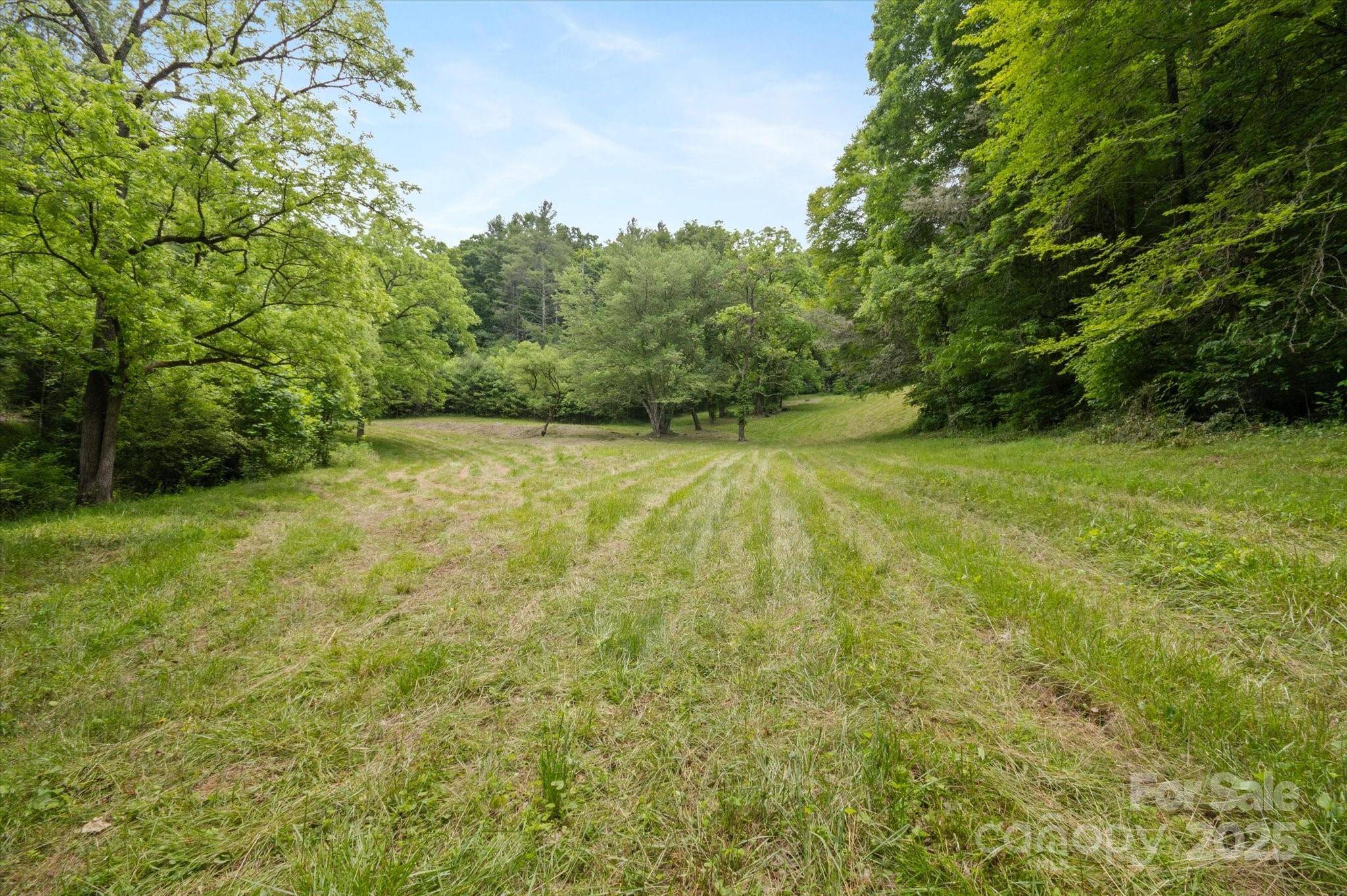 942 Paint Fork RD, Mars Hill, NC 28754