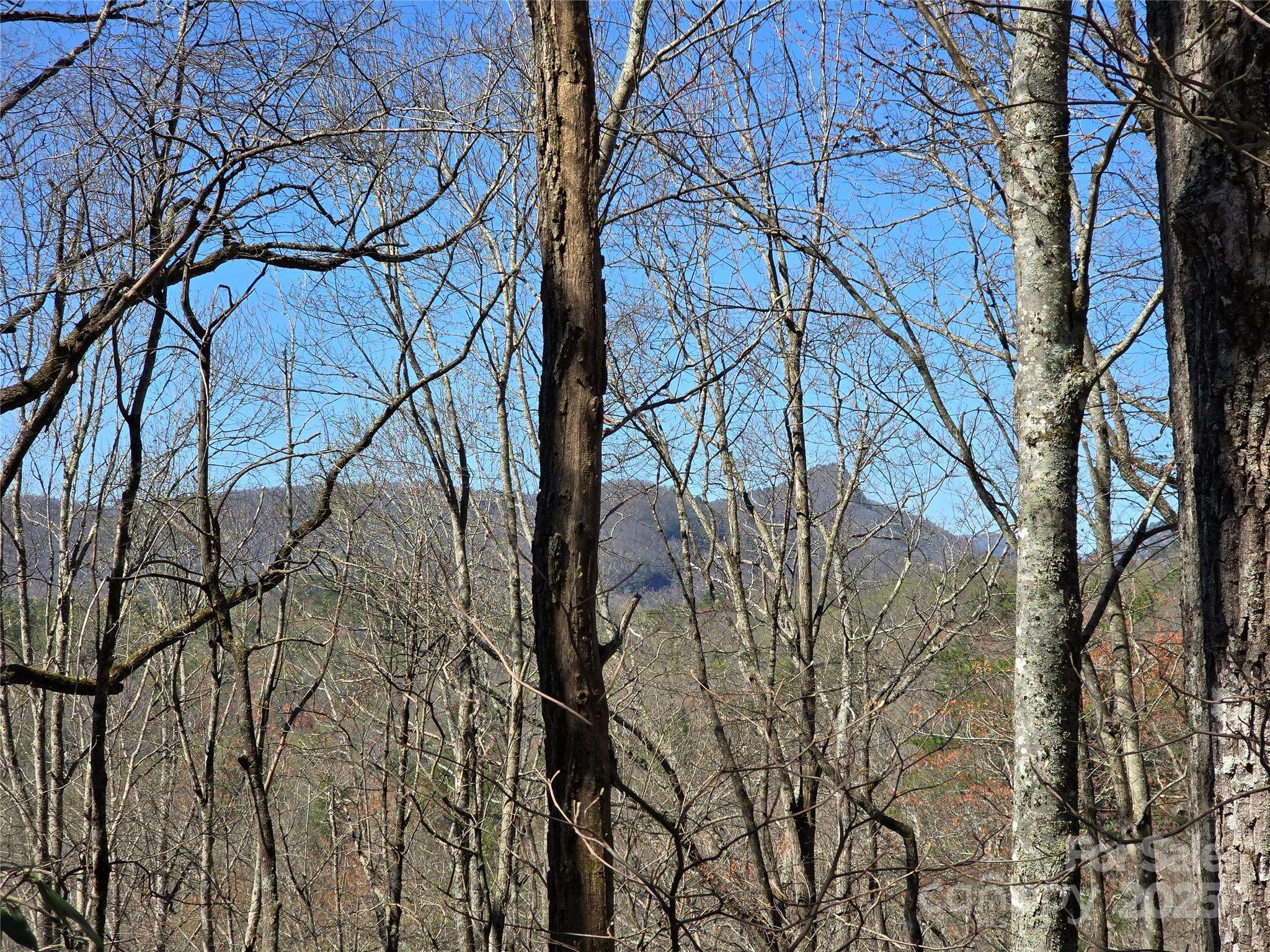Lot 39 Sweet Spring TRL #39, Glenville, NC 28736