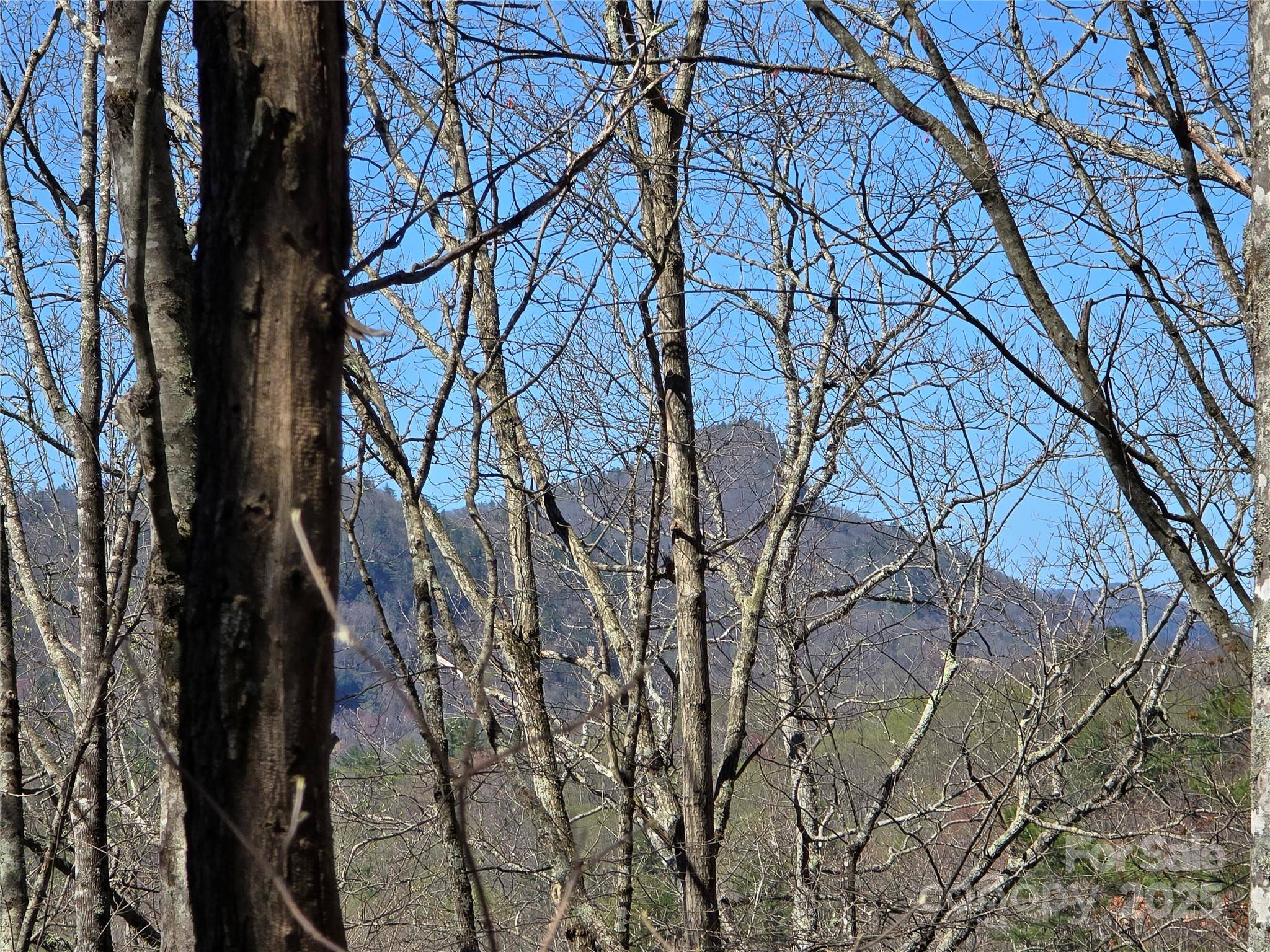 Lot 39 Sweet Spring TRL #39, Glenville, NC 28736