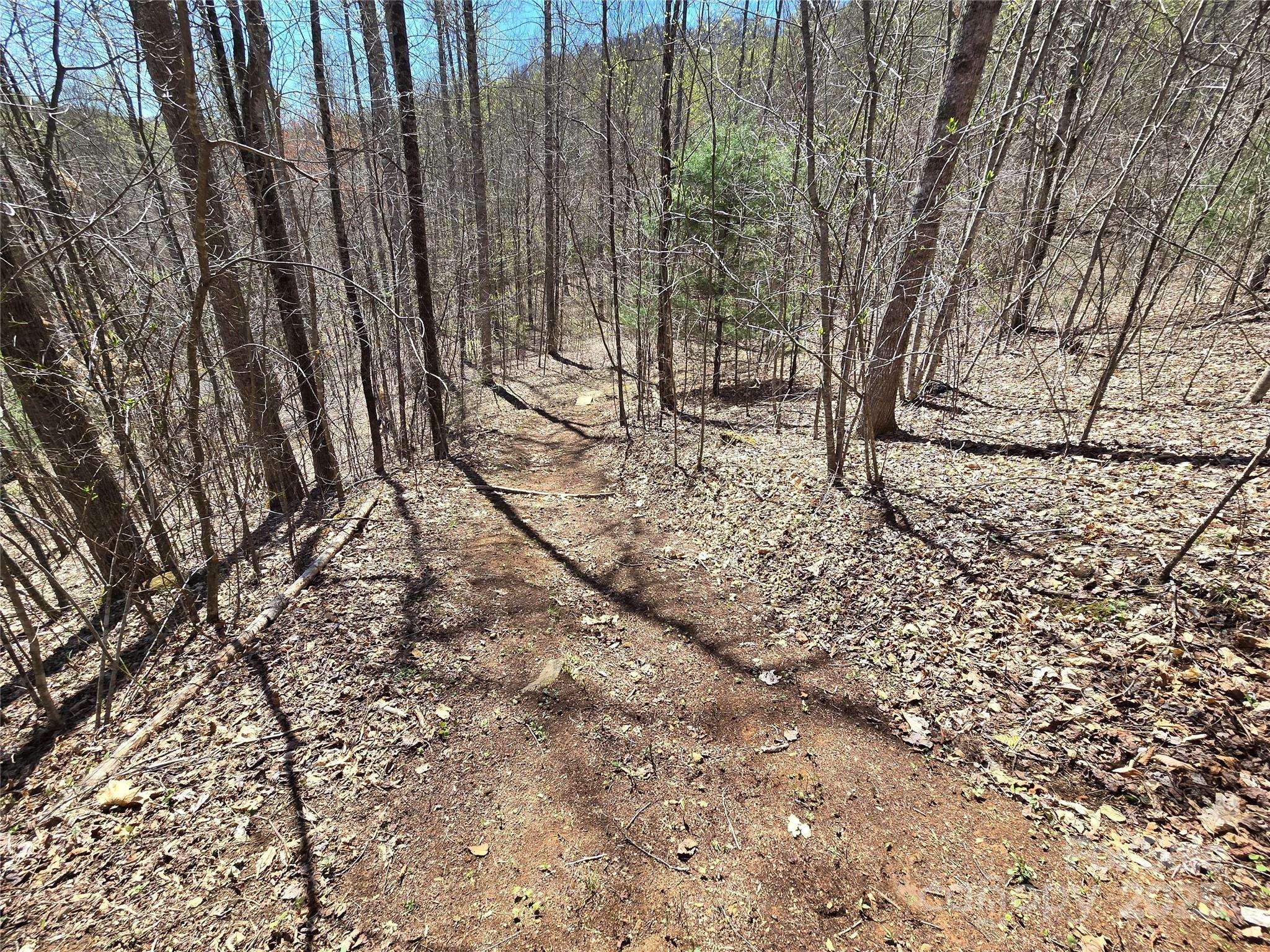Lot 39 Sweet Spring TRL #39, Glenville, NC 28736