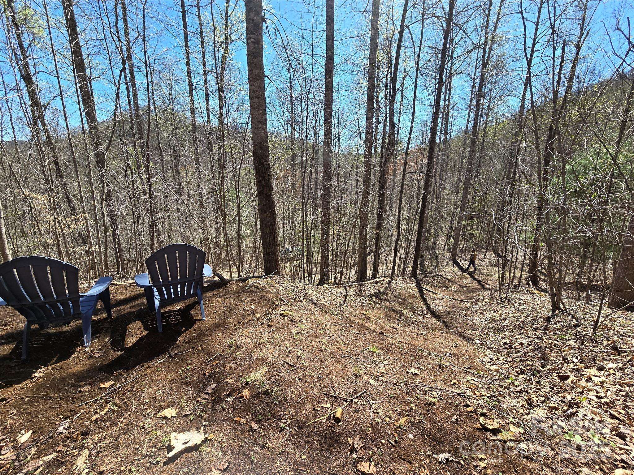 Lot 39 Sweet Spring TRL #39, Glenville, NC 28736