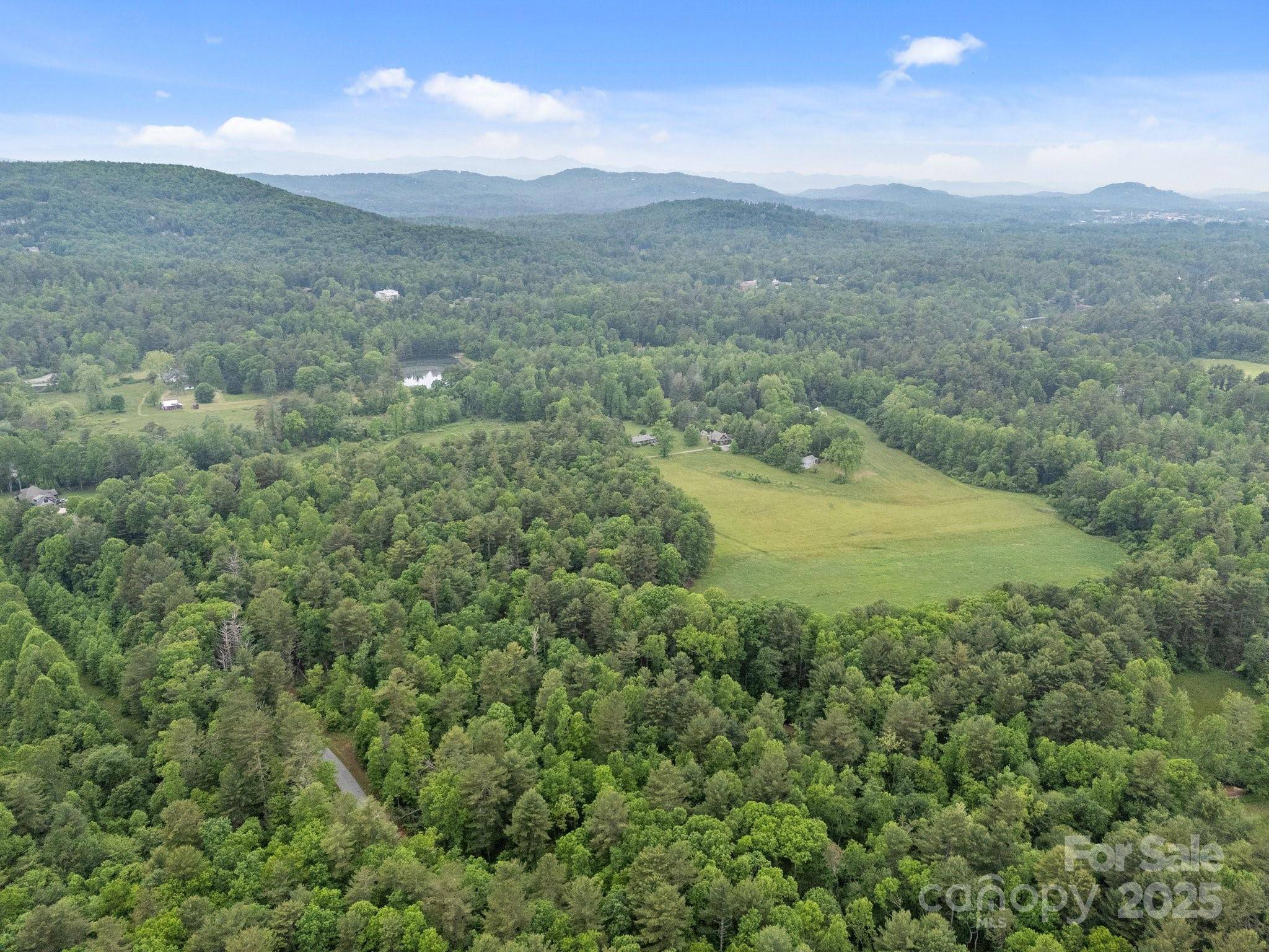 000 Red Fox LN #17, Flat Rock, NC 28731