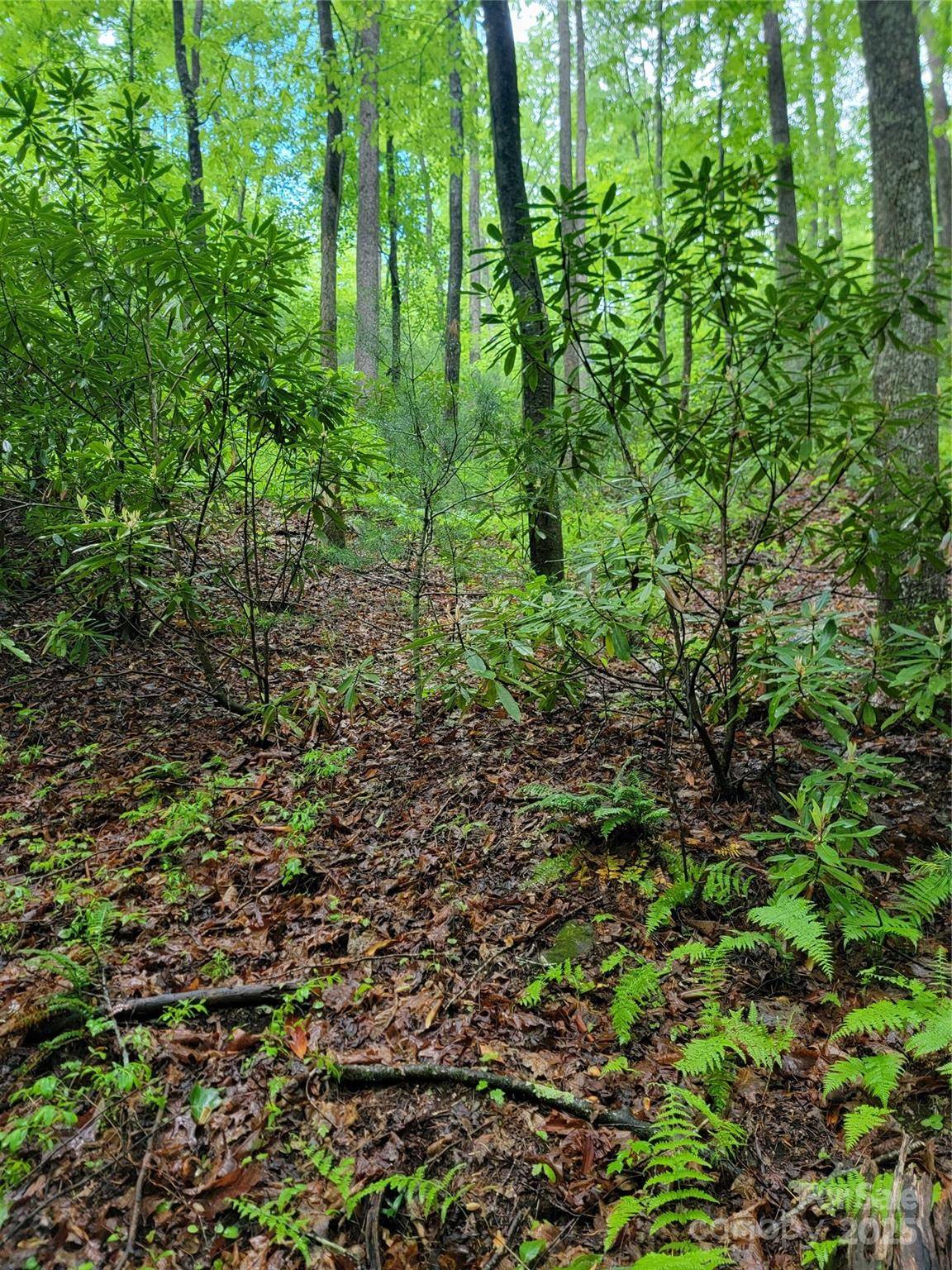 000 Rocky Top RD, Lenoir, NC 28645