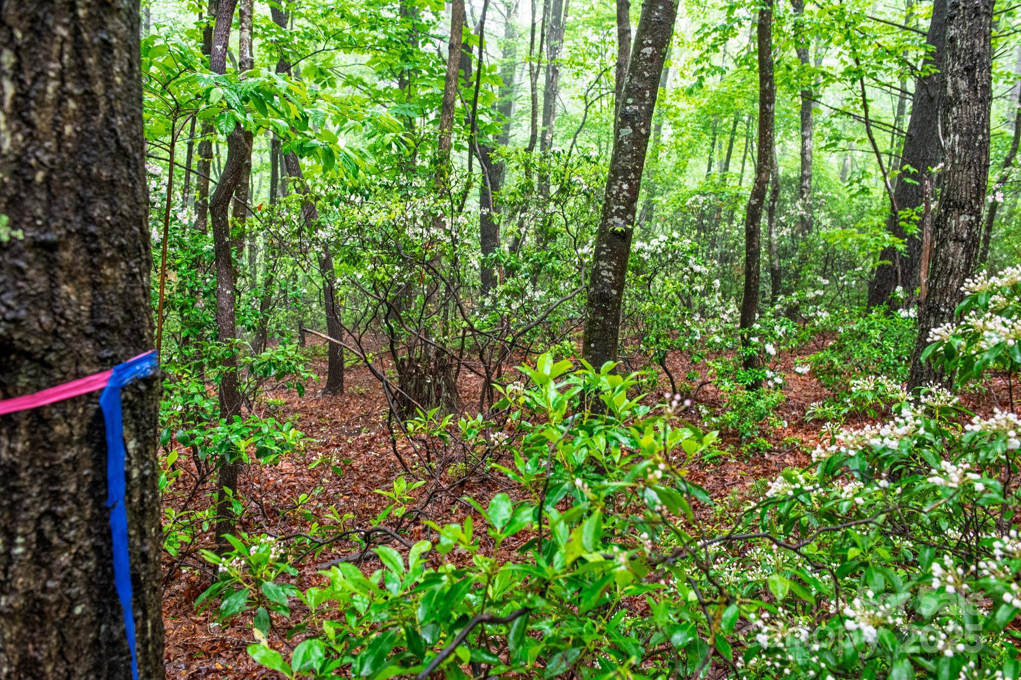 000 Rocky Top RD, Lenoir, NC 28645