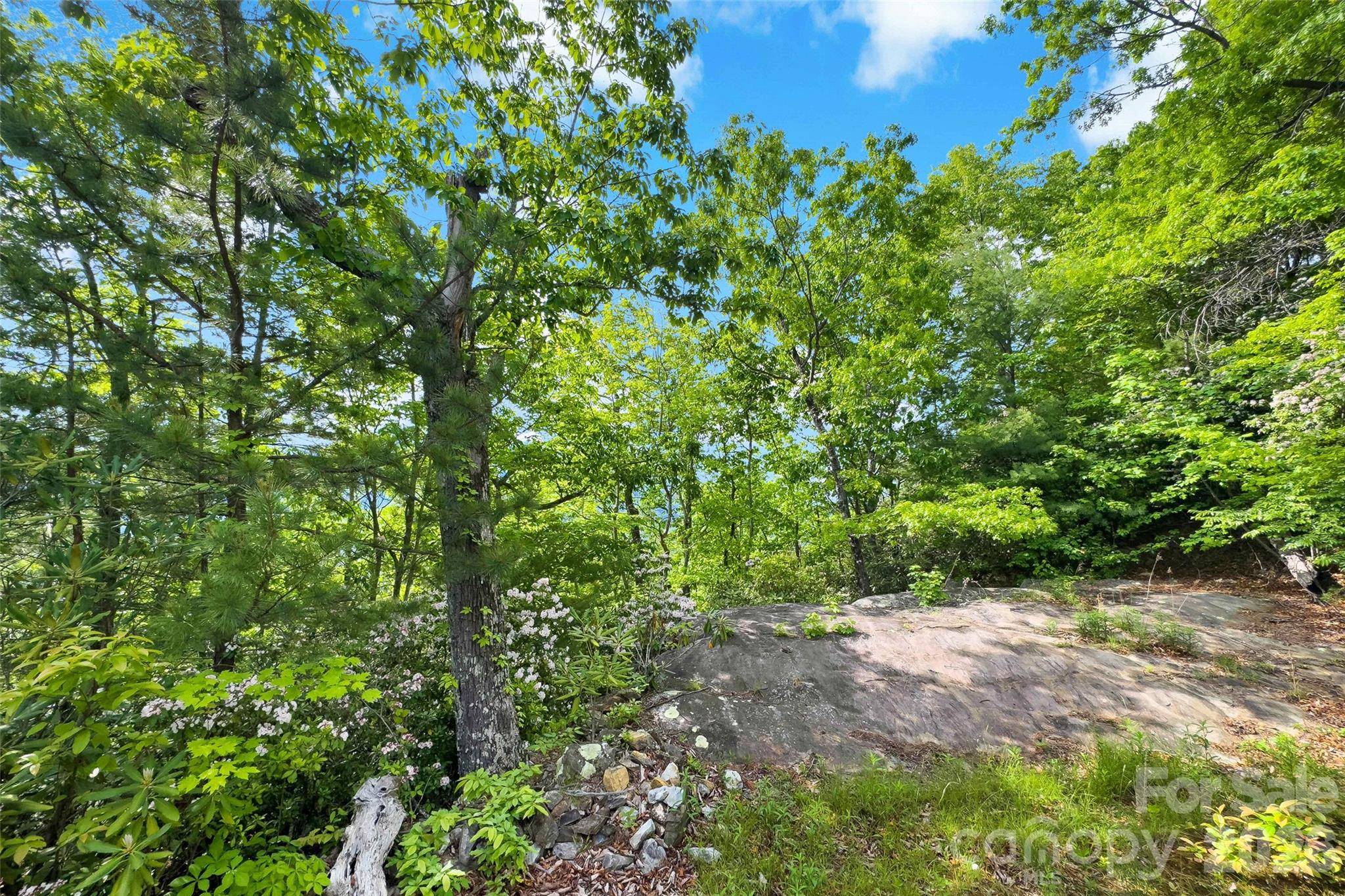 42 Parkway DR, Marion, NC 28752