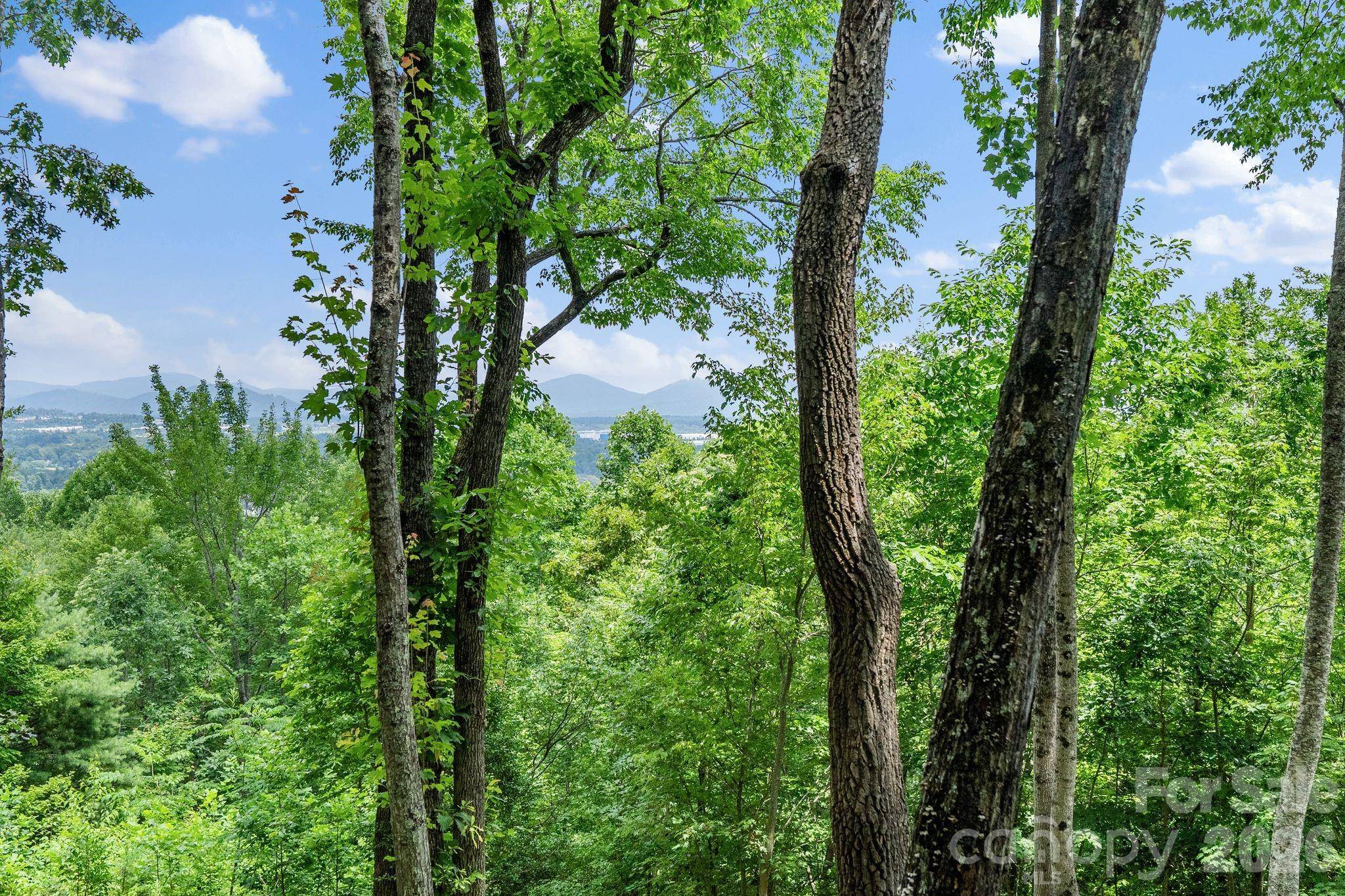 120 Split Rock TRL, Arden, NC 28704