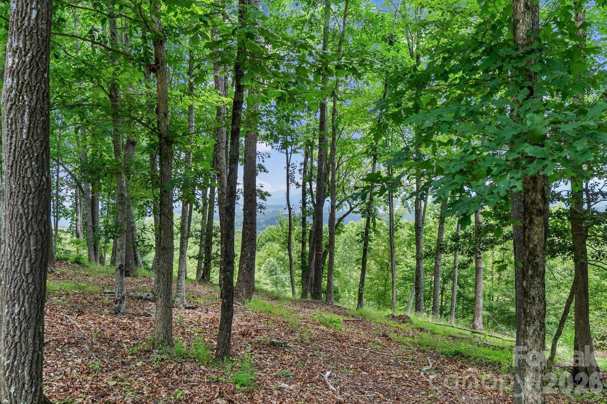 120 Split Rock TRL, Arden, NC 28704