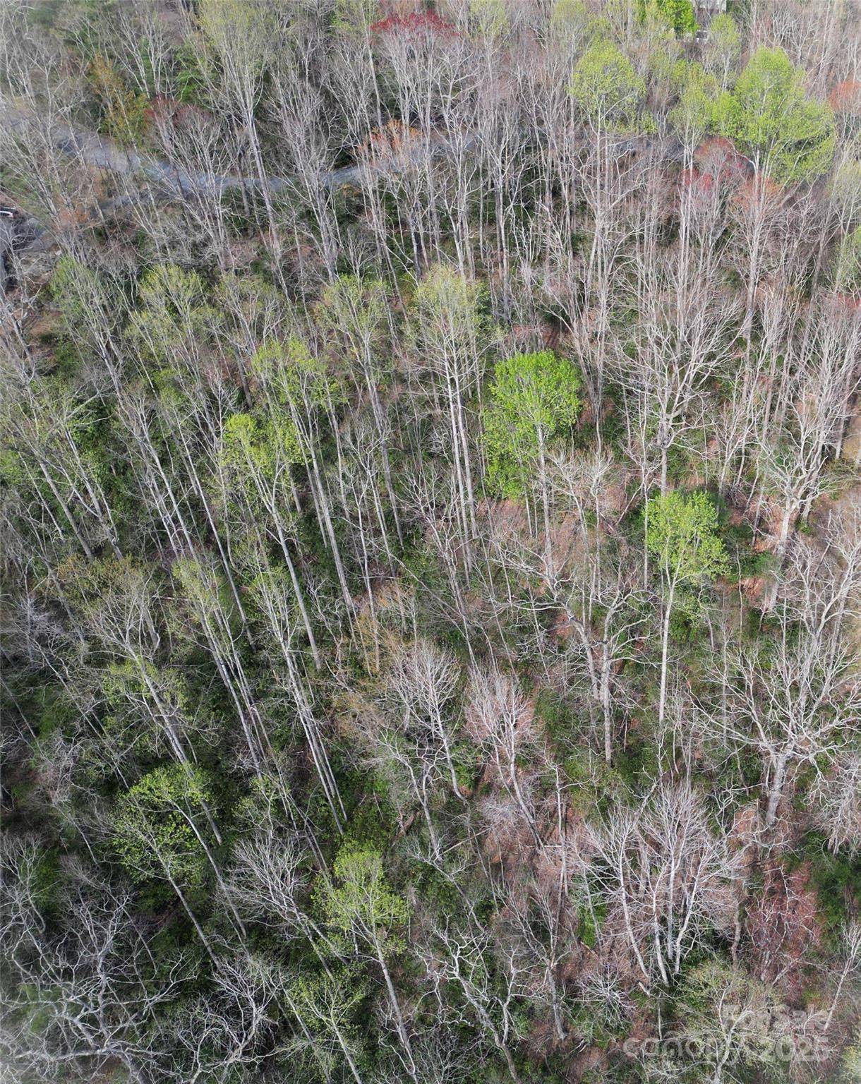 Lot 96 Black Oak DR, Sapphire, NC 28774