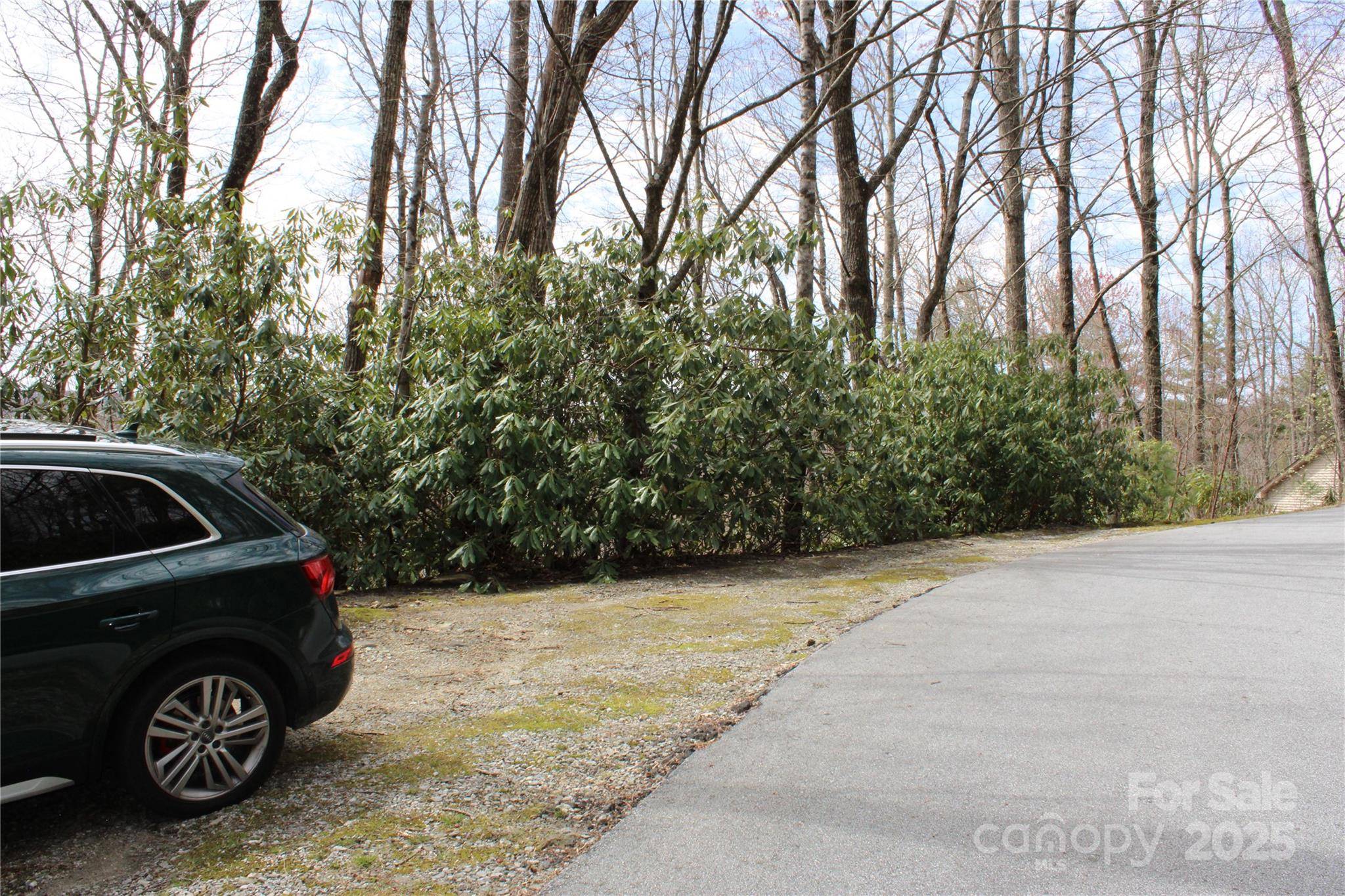 Lot 96 Black Oak DR, Sapphire, NC 28774