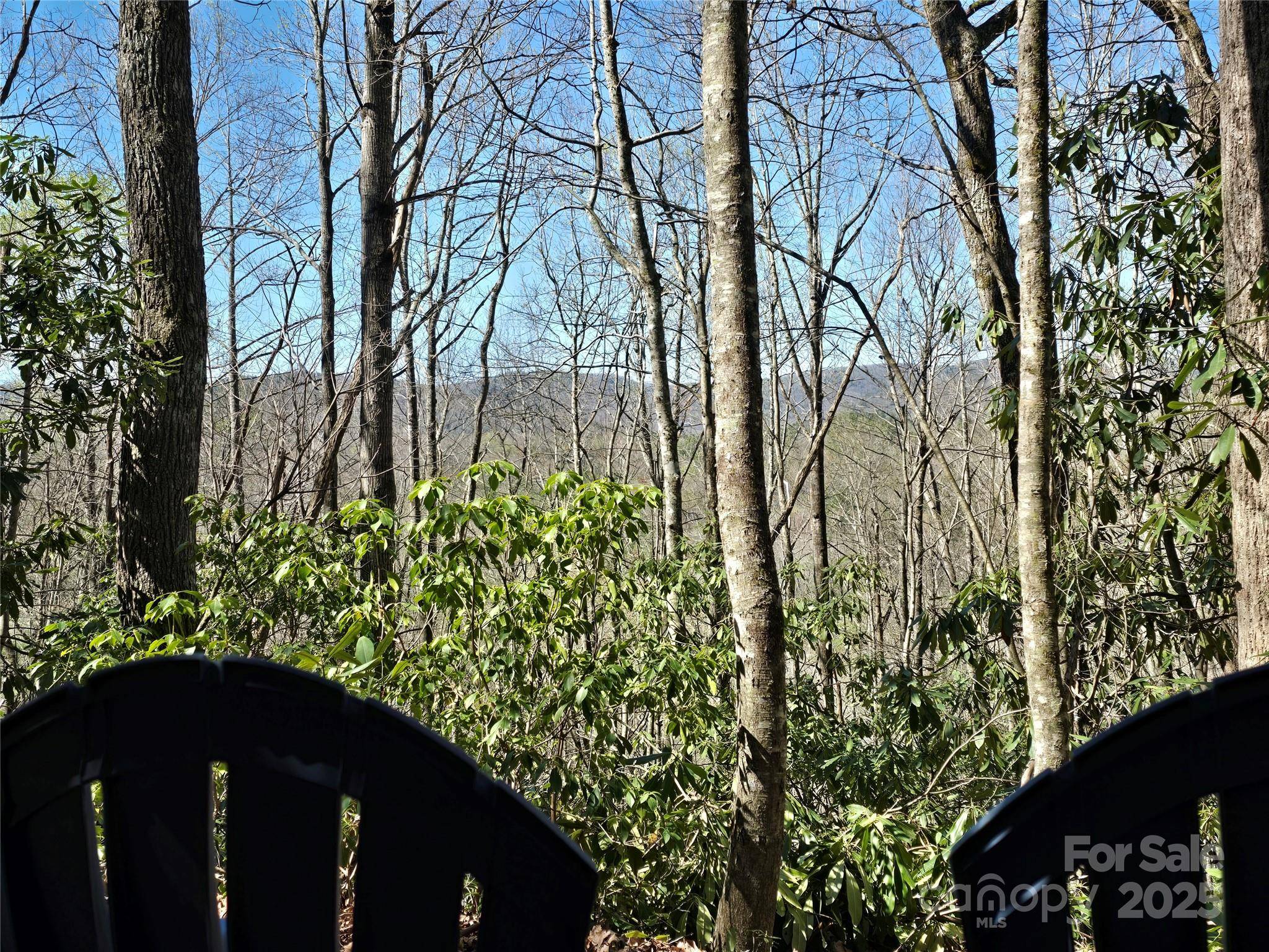 Lot 96 Black Oak DR, Sapphire, NC 28774