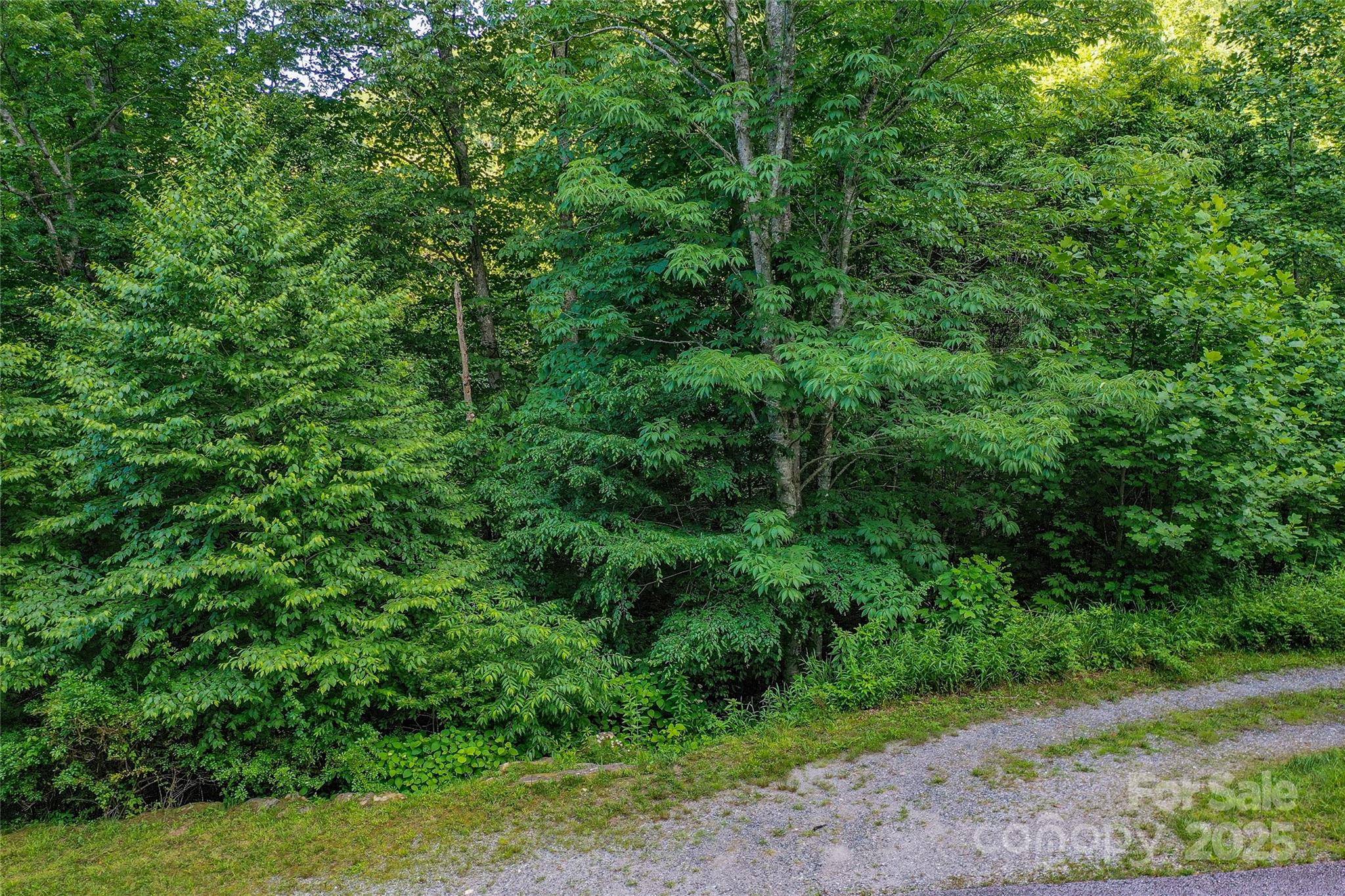 Lot 13 Hares Ear LN #13, Tuckasegee, NC 28783
