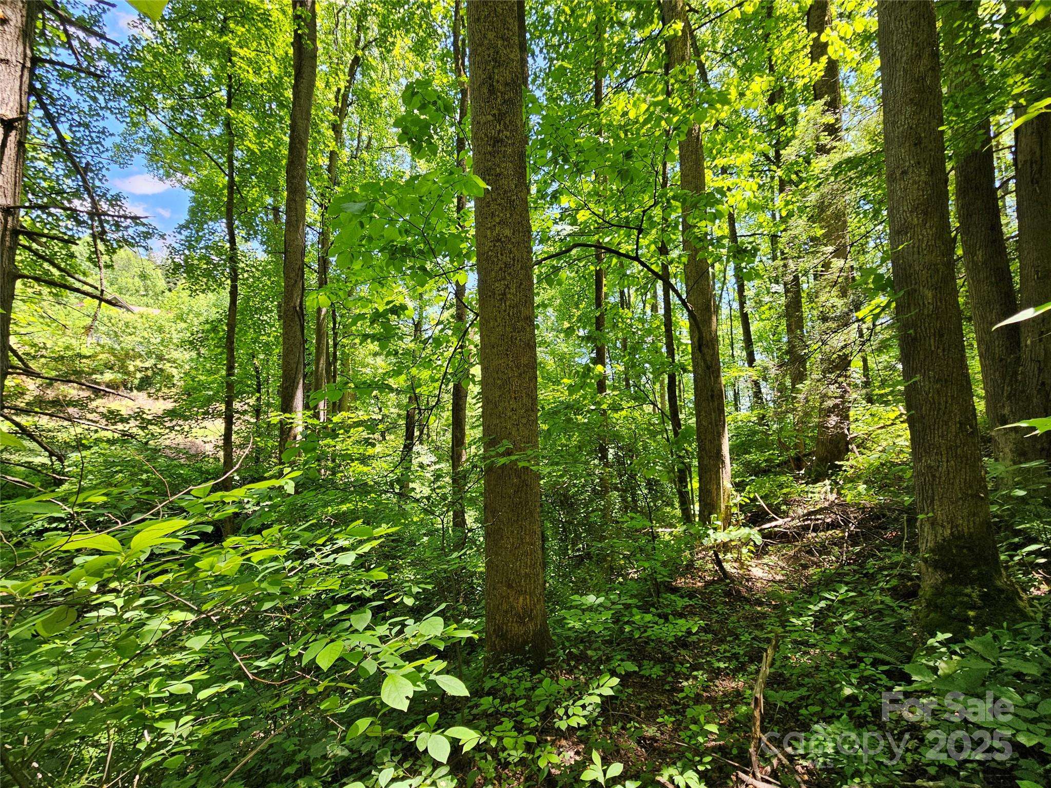 00 Owens RD, Waynesville, NC 28785