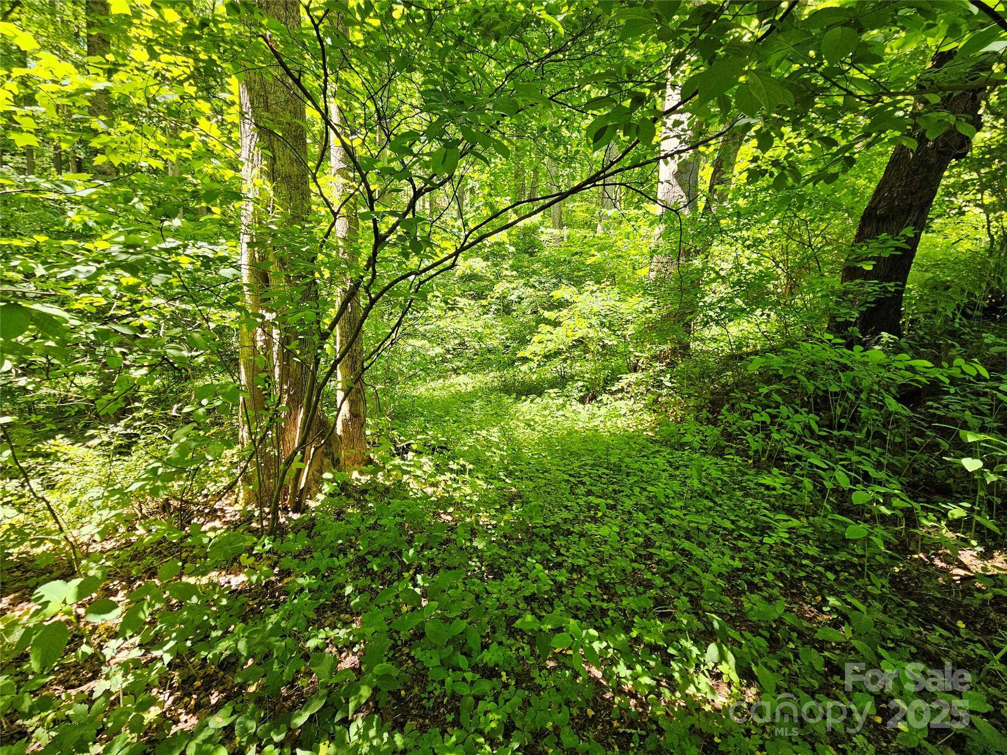 00 Owens RD, Waynesville, NC 28785