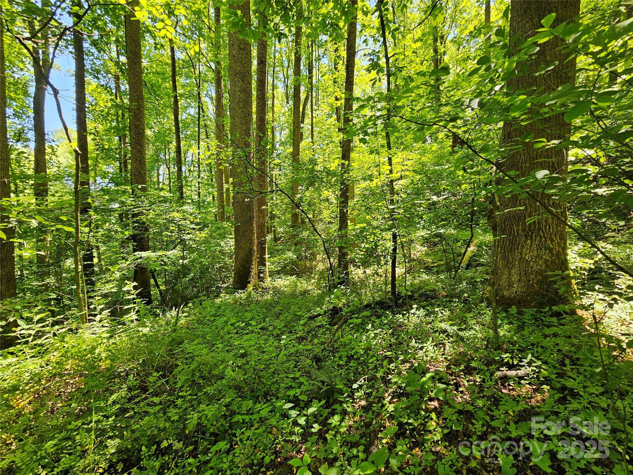 00 Owens RD, Waynesville, NC 28785