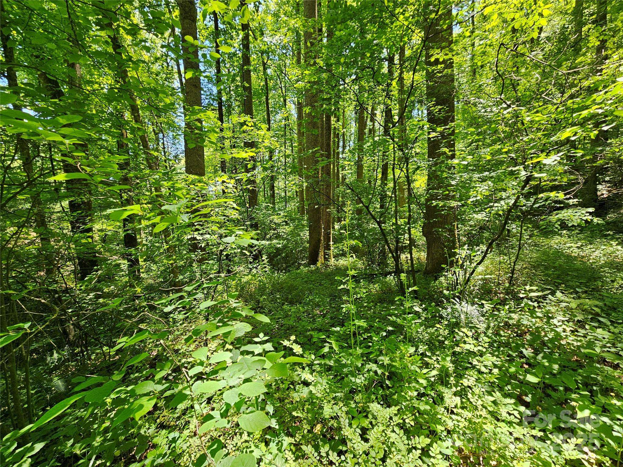 00 Owens RD, Waynesville, NC 28785