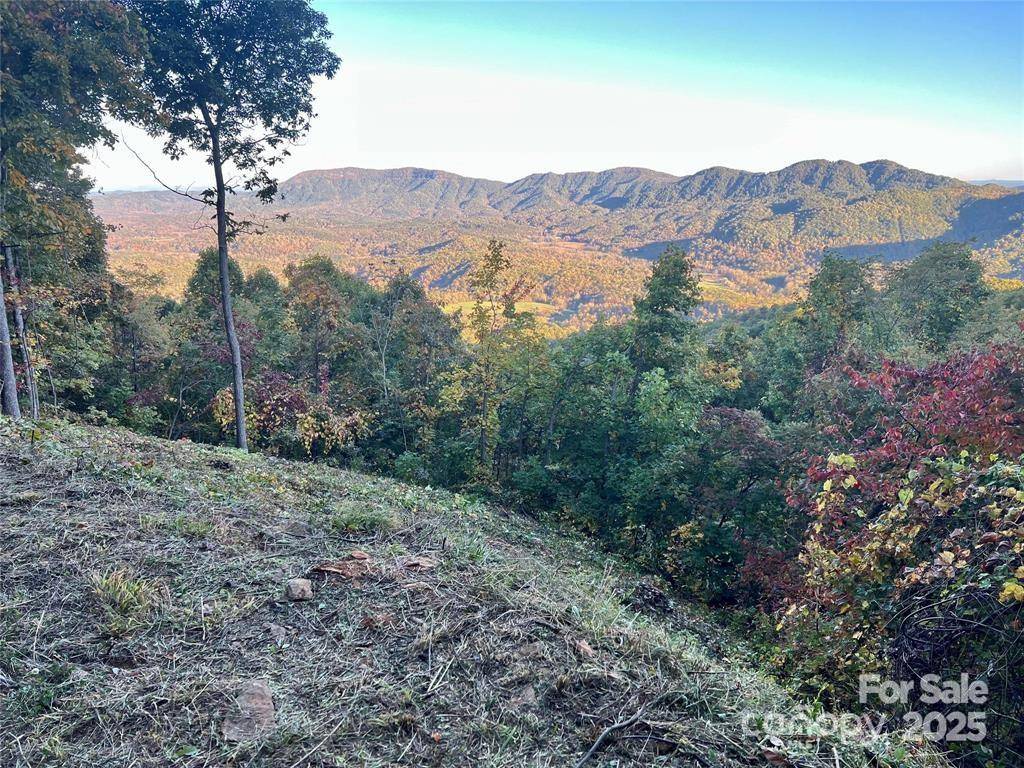 1591 Creston DR #T-78, Black Mountain, NC 28711