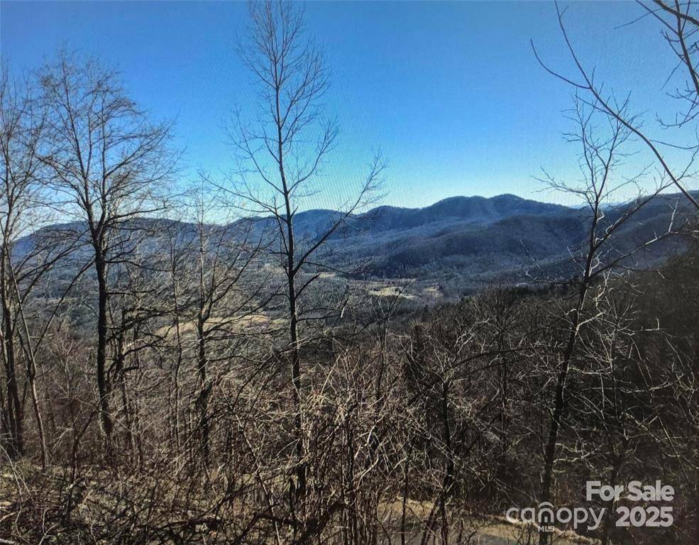 1591 Creston DR #T-78, Black Mountain, NC 28711