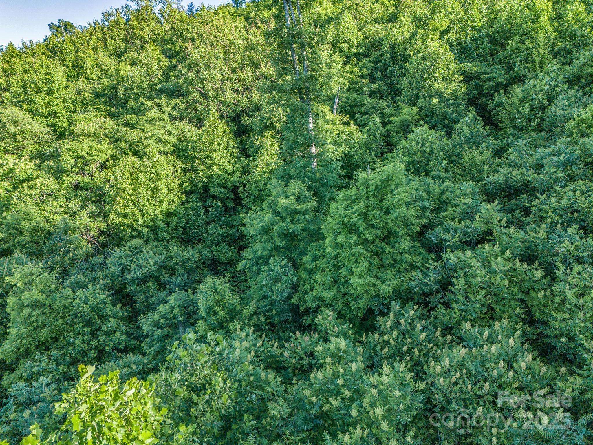 00 H and H TRL, Bat Cave, NC 28710