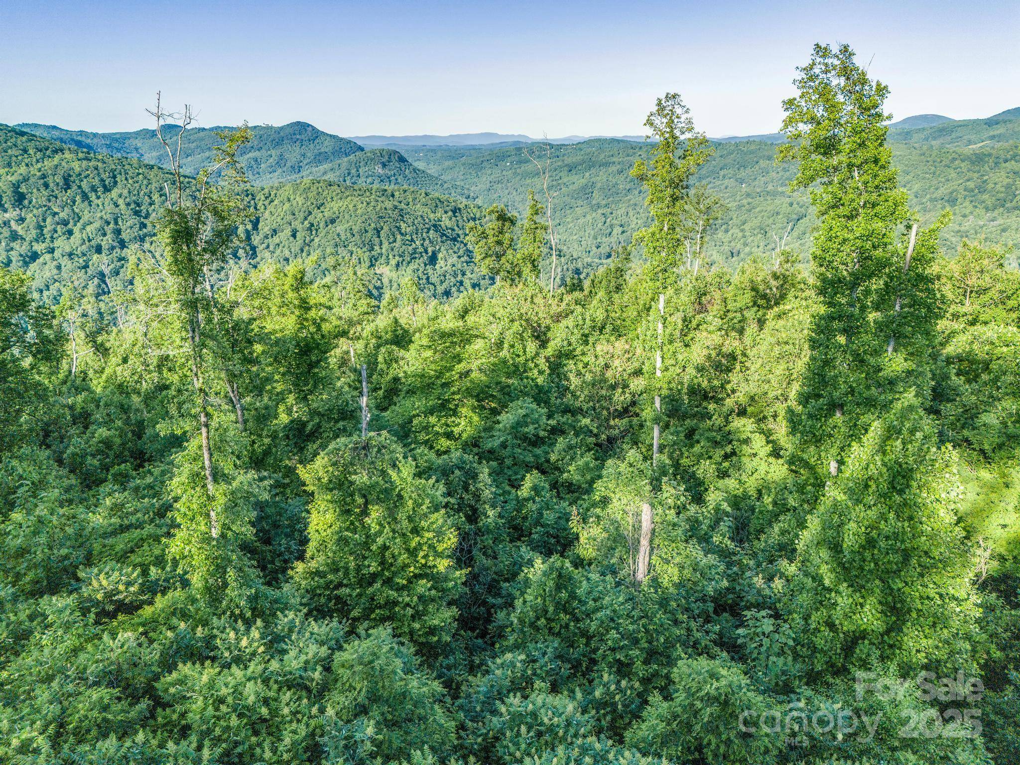 00 H and H TRL, Bat Cave, NC 28710