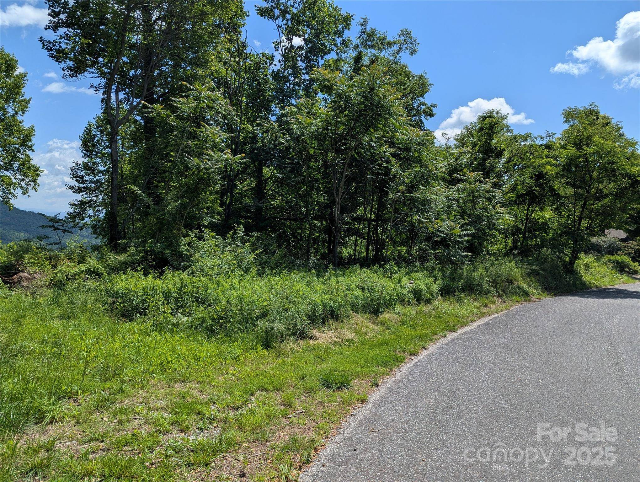 67 Creston DR #T-17, Black Mountain, NC 28711
