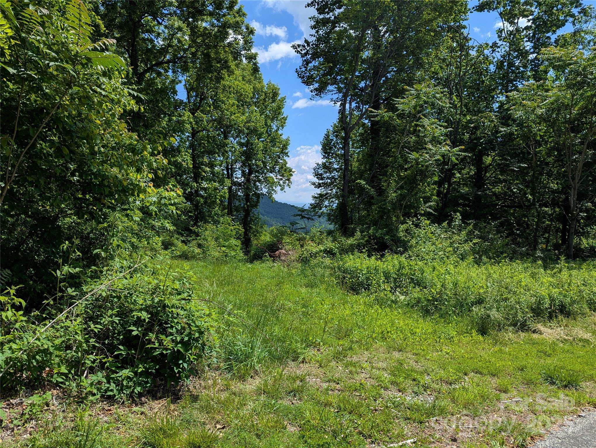 67 Creston DR #T-17, Black Mountain, NC 28711