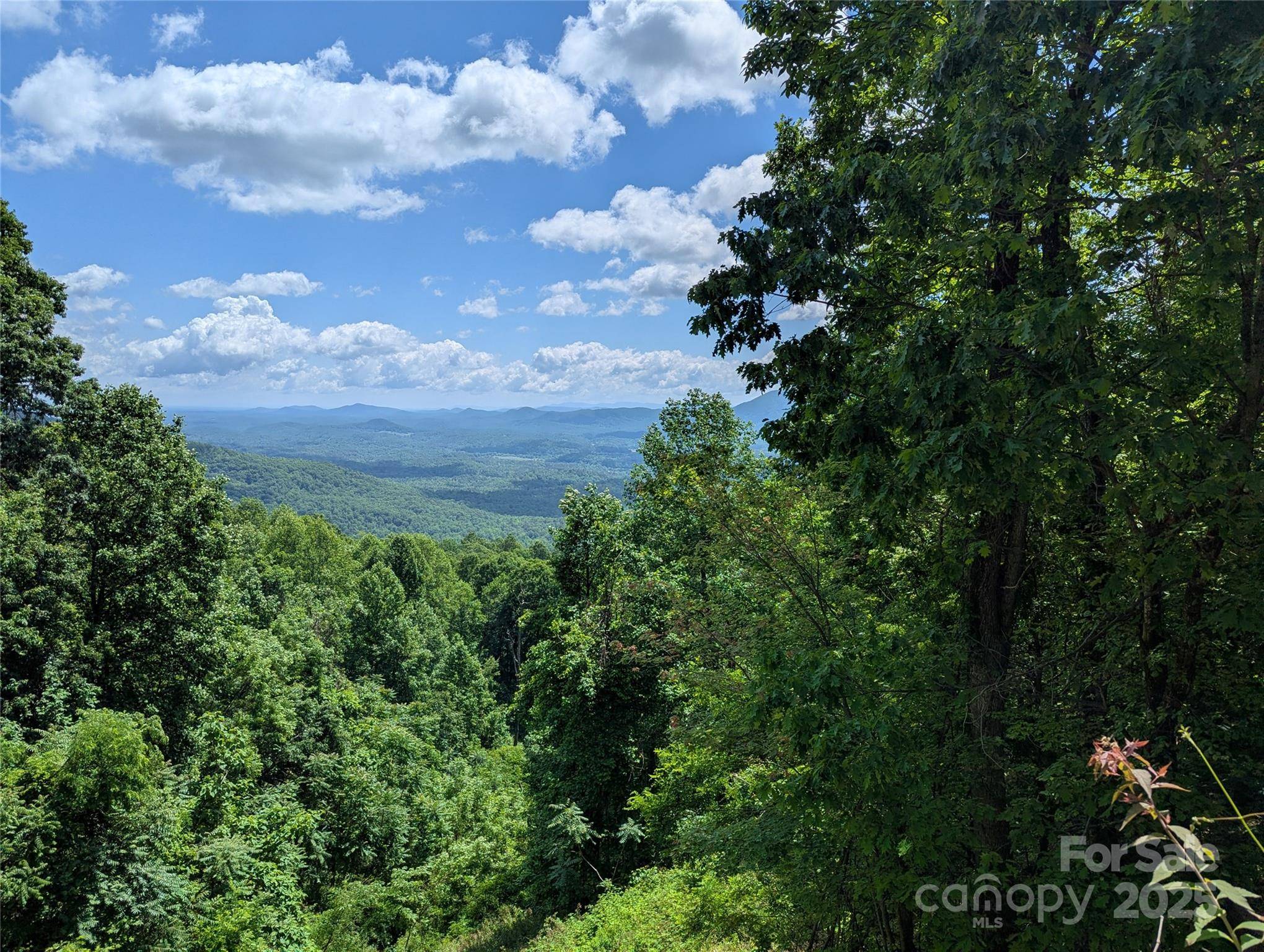67 Creston DR #T-17, Black Mountain, NC 28711