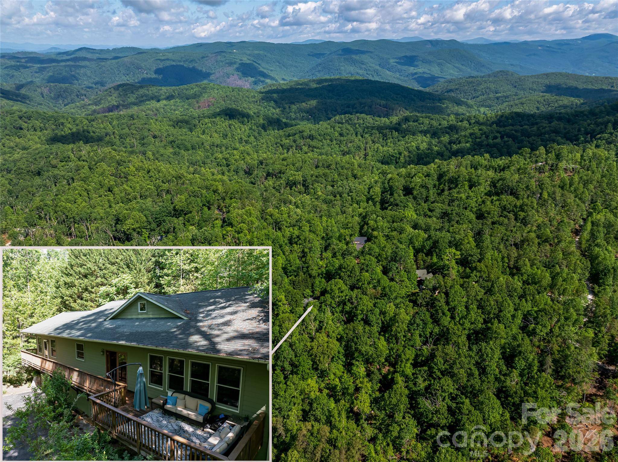 75 Cougar LN, Saluda, NC 28773