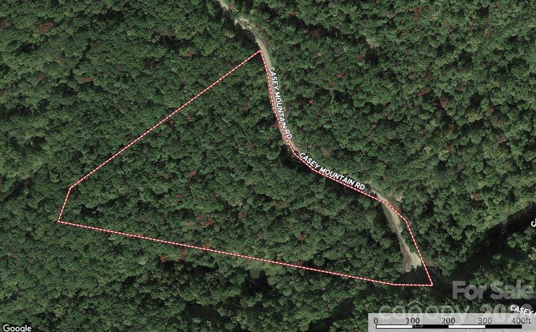 TBD Casey Mountain RD #213, Purlear, NC 28665