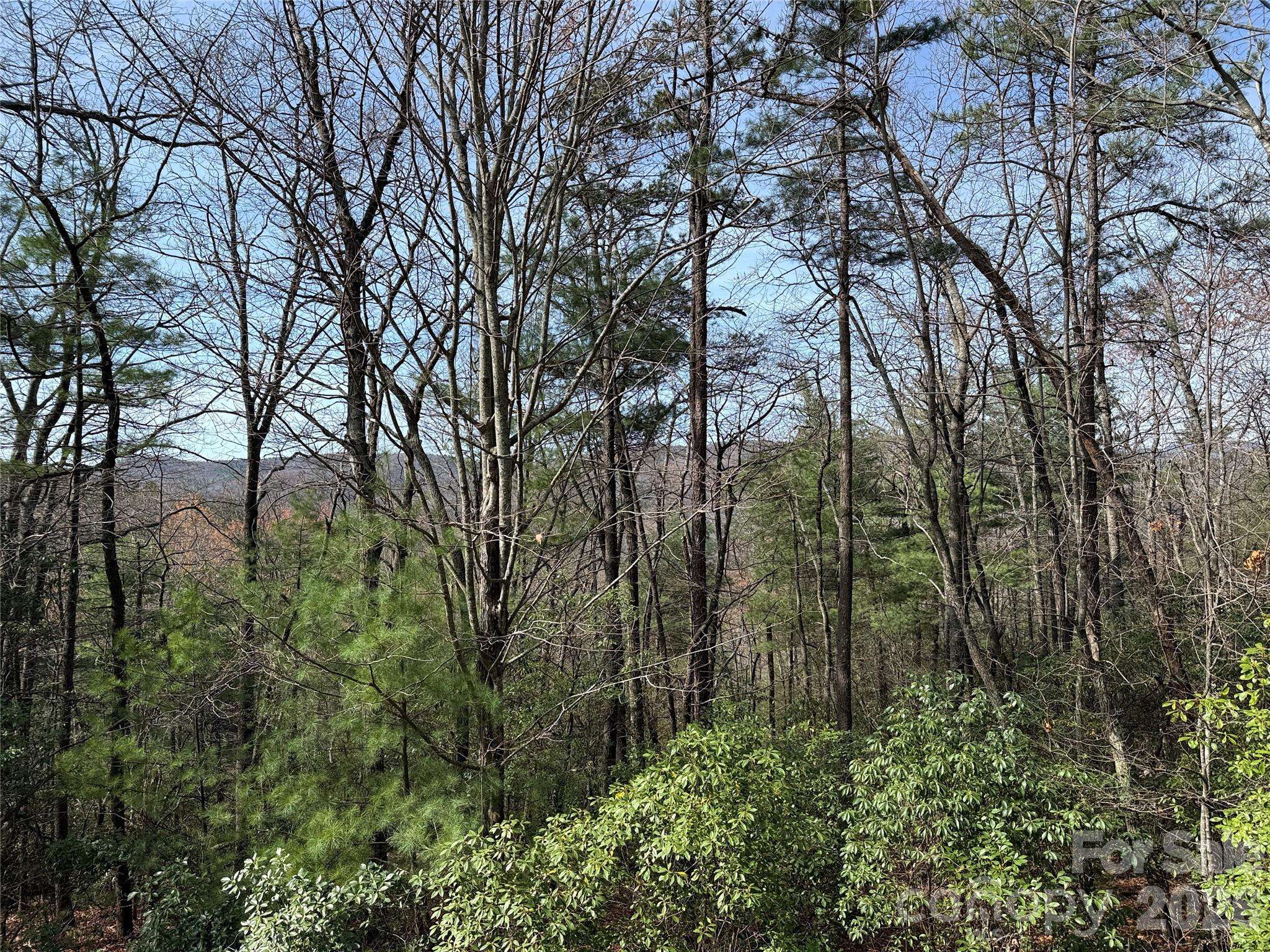 TBD Casey Mountain RD #213, Purlear, NC 28665