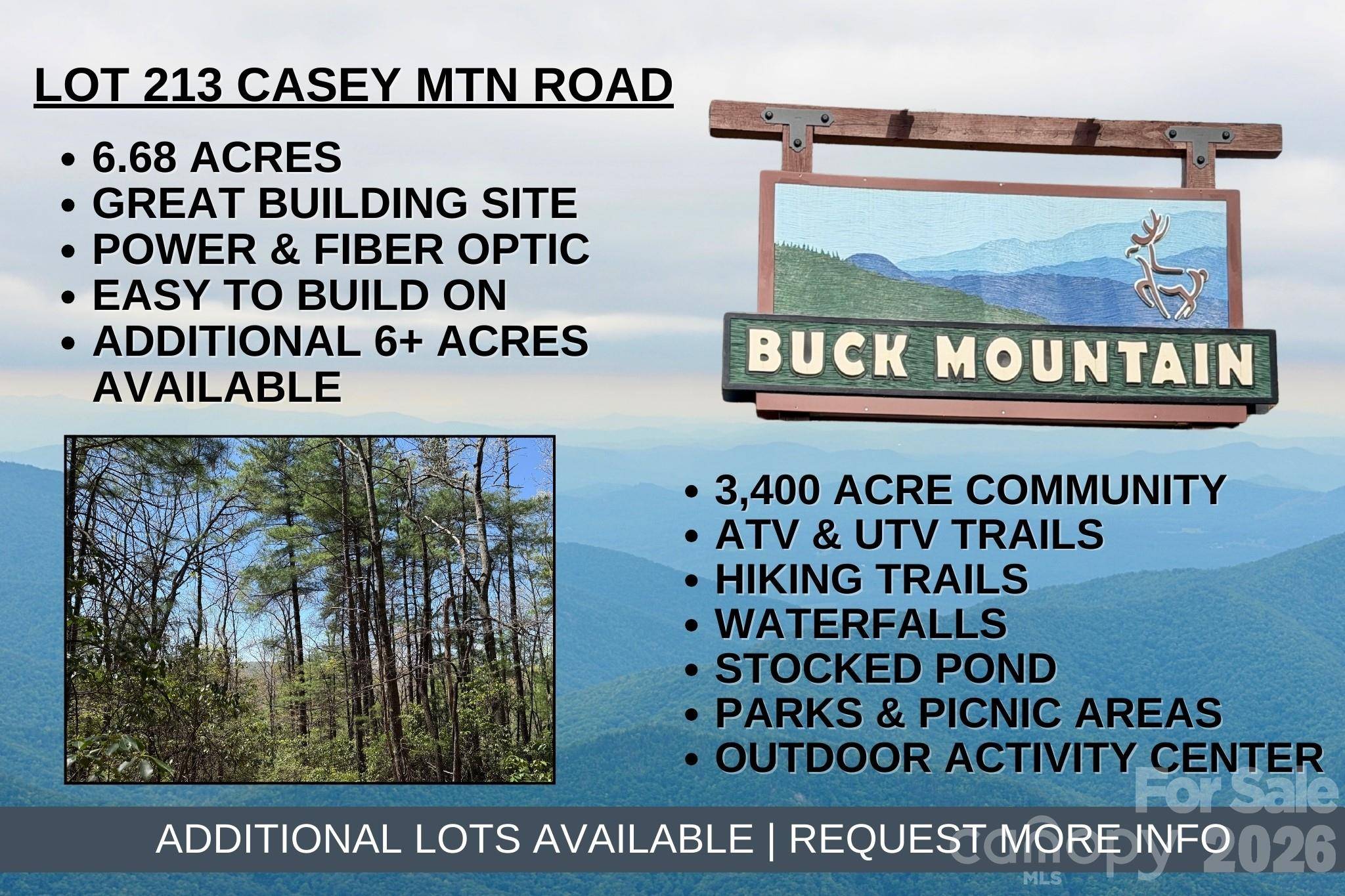 TBD Casey Mountain RD #213, Purlear, NC 28665