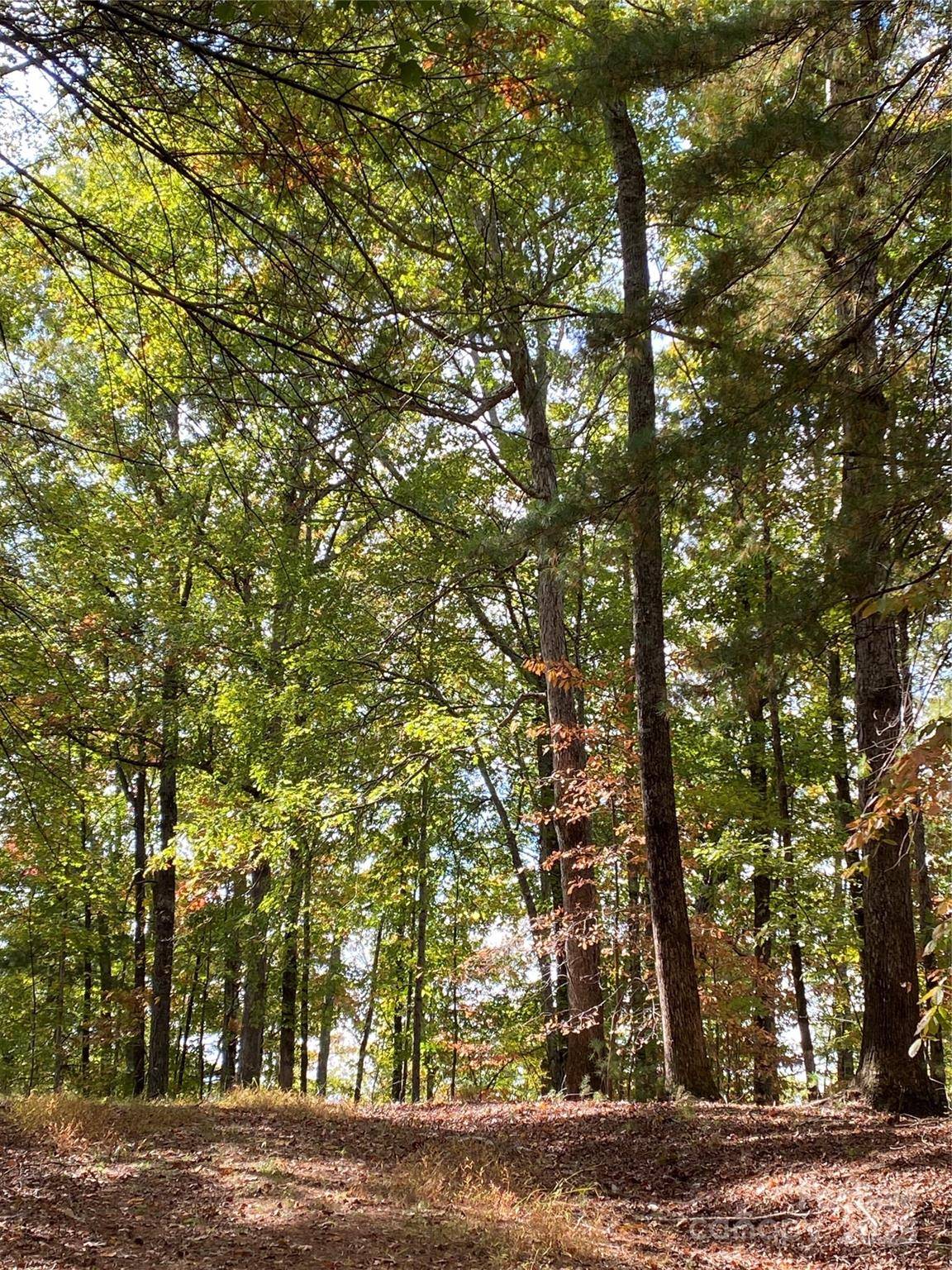 Lot 13 Highlands DR, Lake Lure, NC 28746