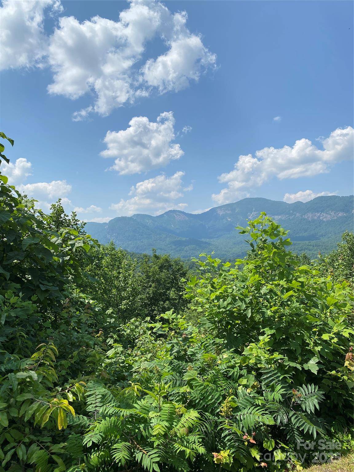 Lot 13 Highlands DR, Lake Lure, NC 28746
